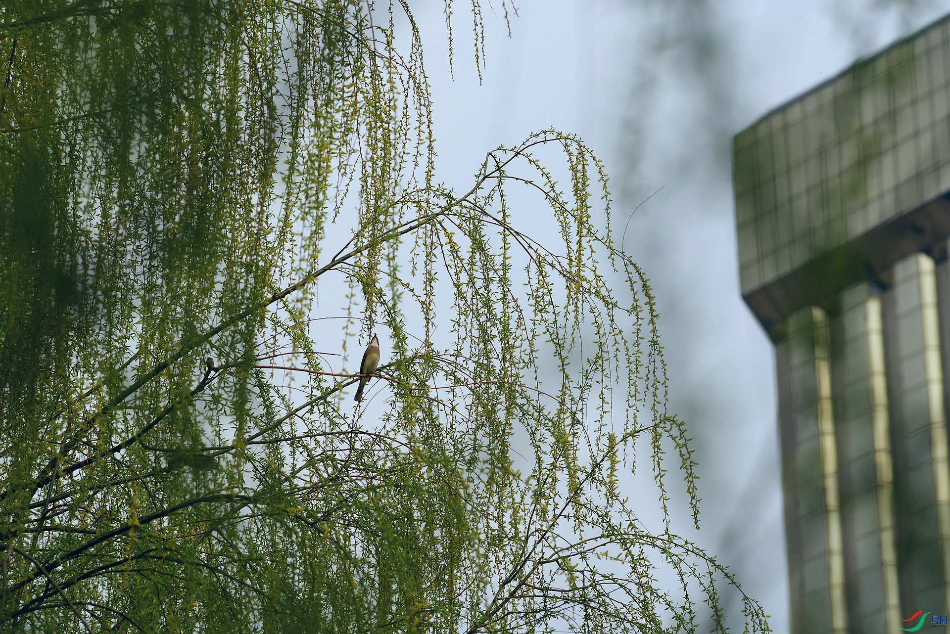 DSC_3643_����.jpg