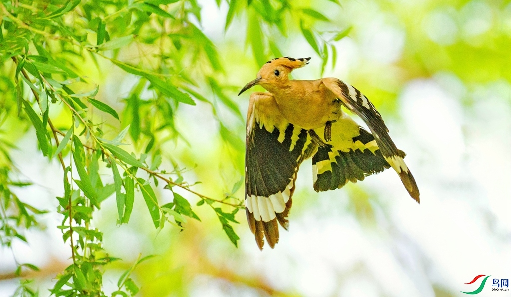 ������� (3).jpg