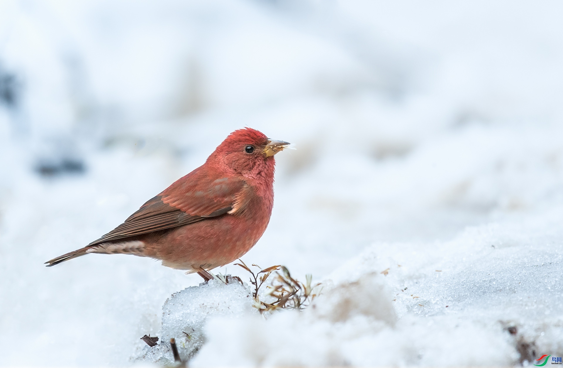 77089  ��ʦ�������Ĵ�ʡ������������.jpg