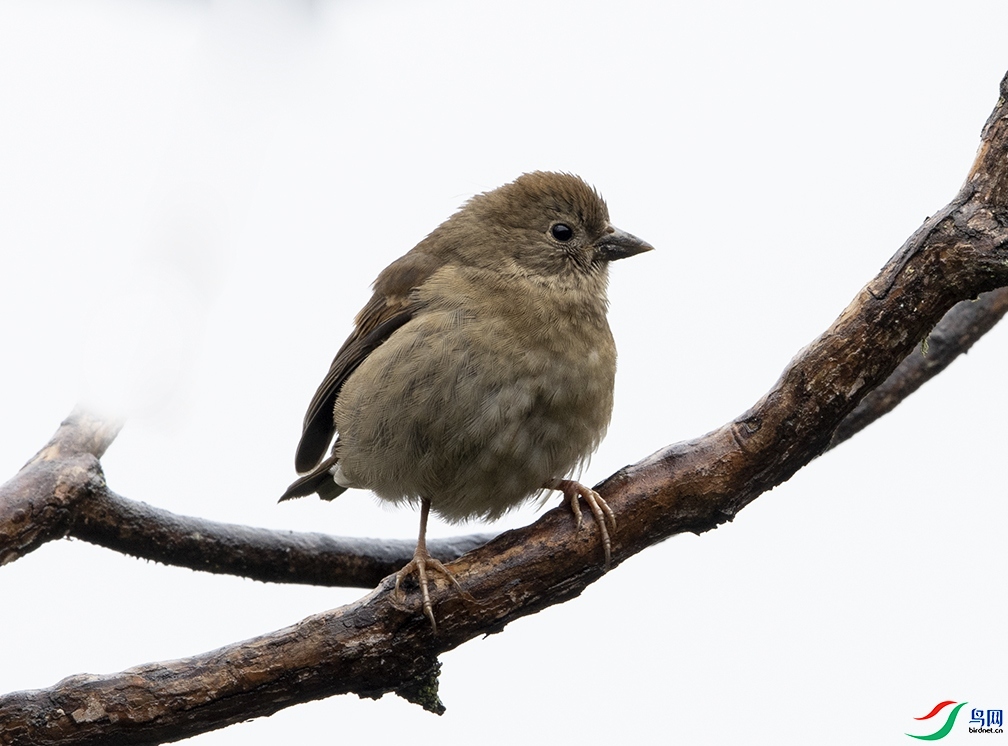 ��������  ��ʦ����������ʡ����������������������.jpg