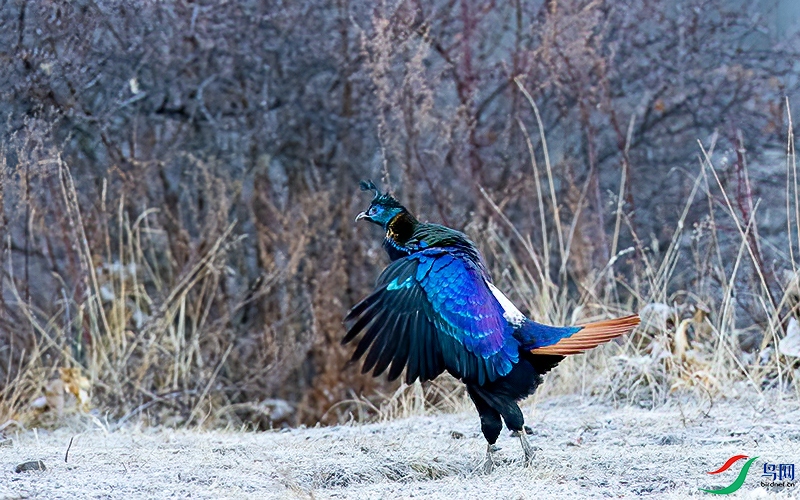 DSC_8459.jpg