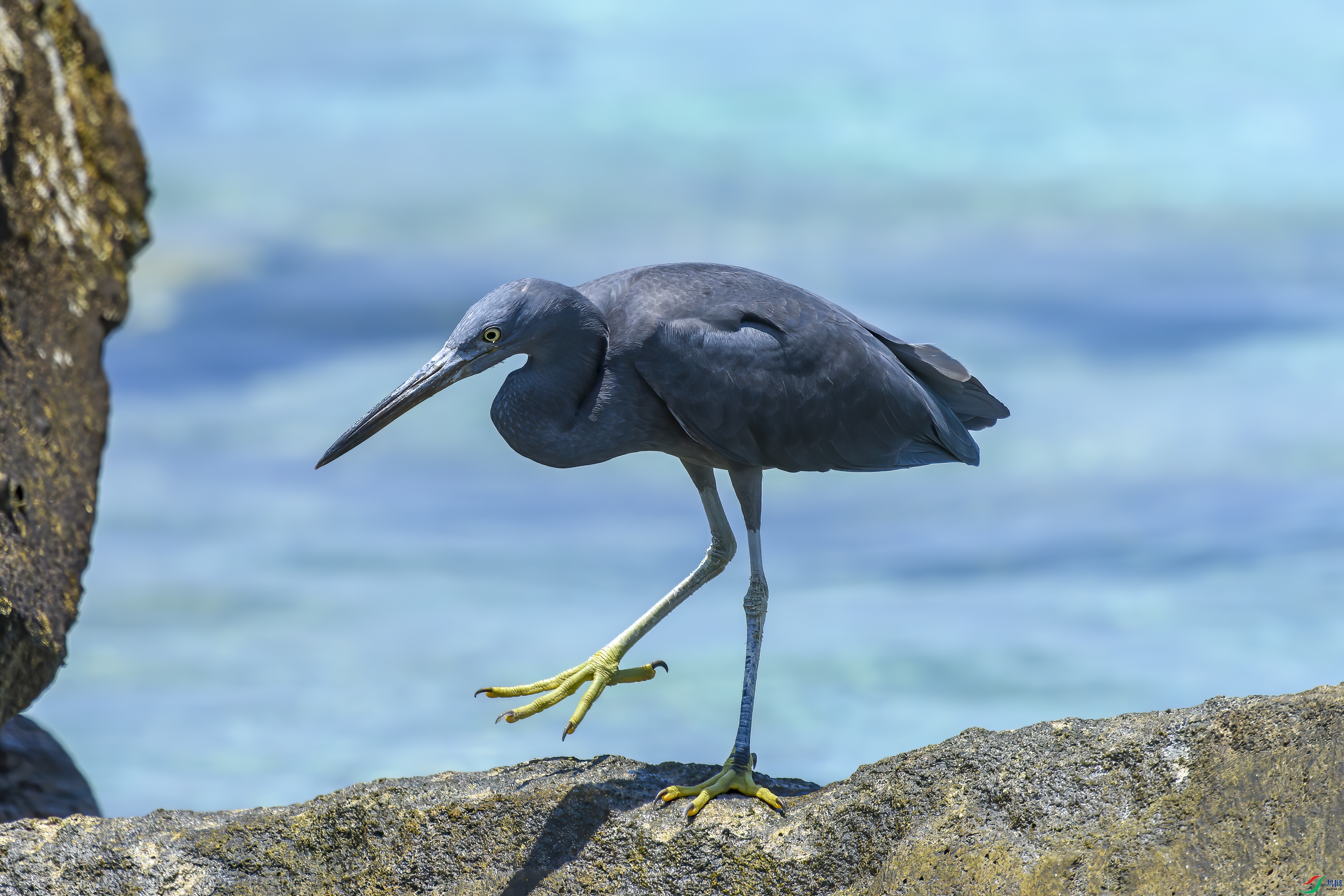 DSC_1493.jpg