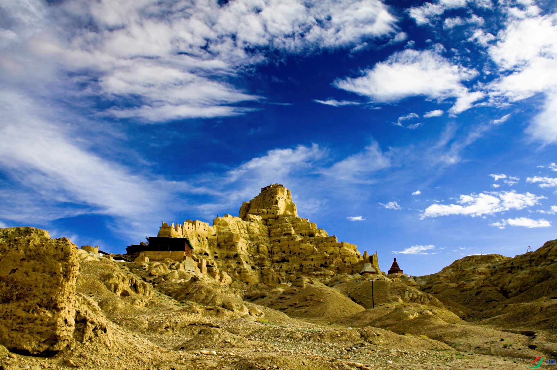 _MG_6402-denoise-denoise (2).jpg