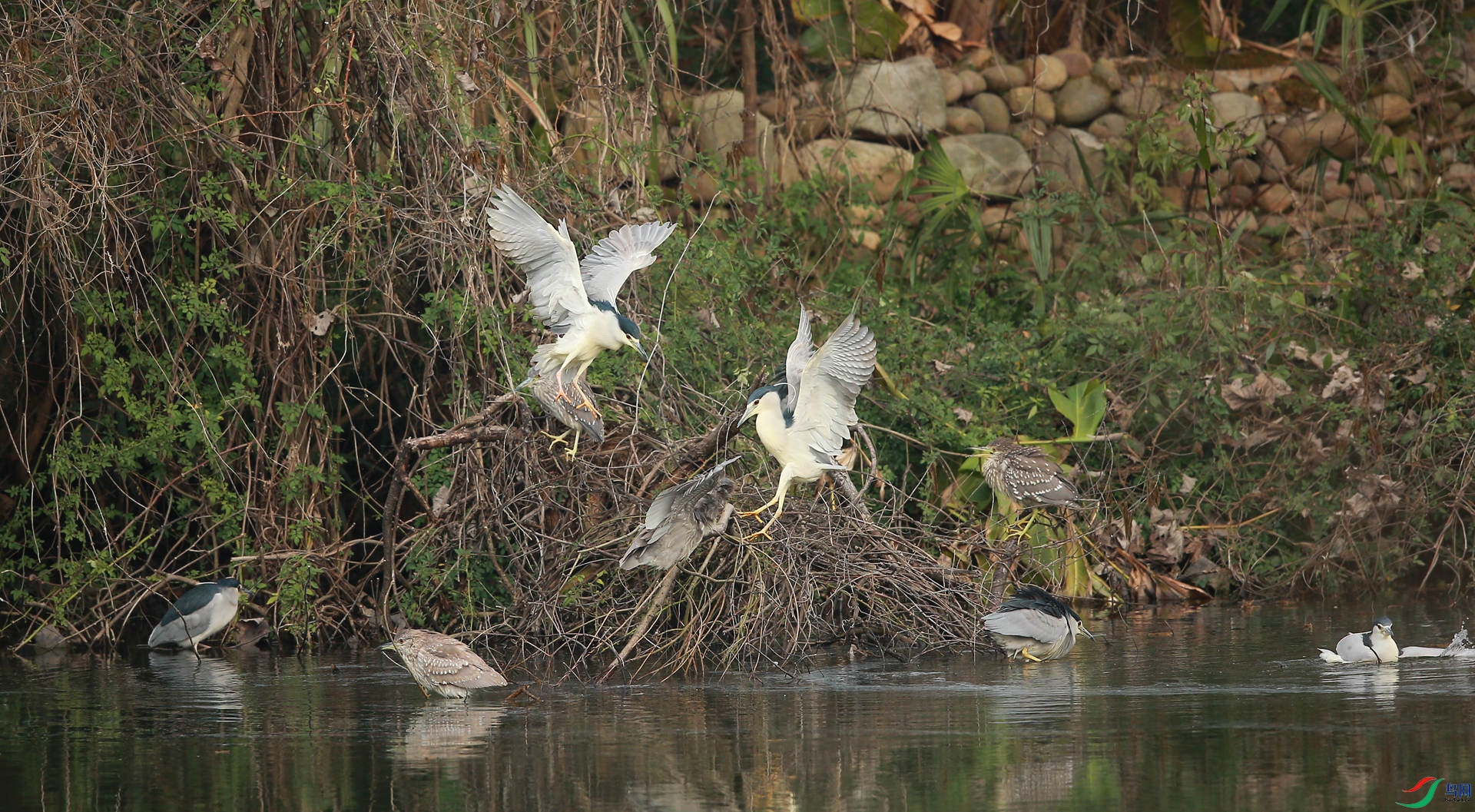 12.JPG