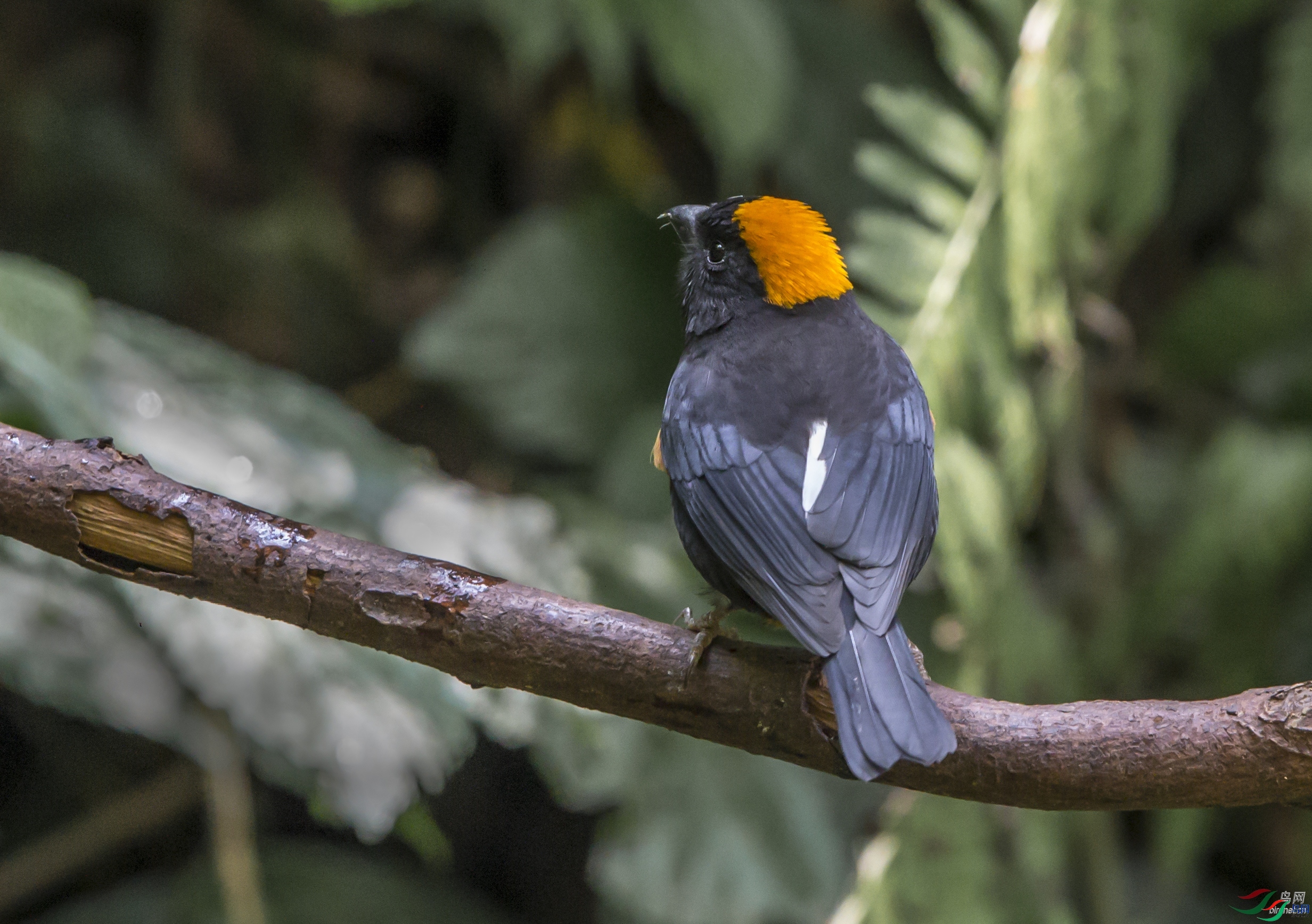 �����б�  ��ʦ����������ʡ��ɽ���ڳ���.jpg