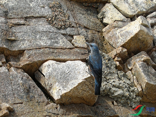 DSC20220324017.jpg