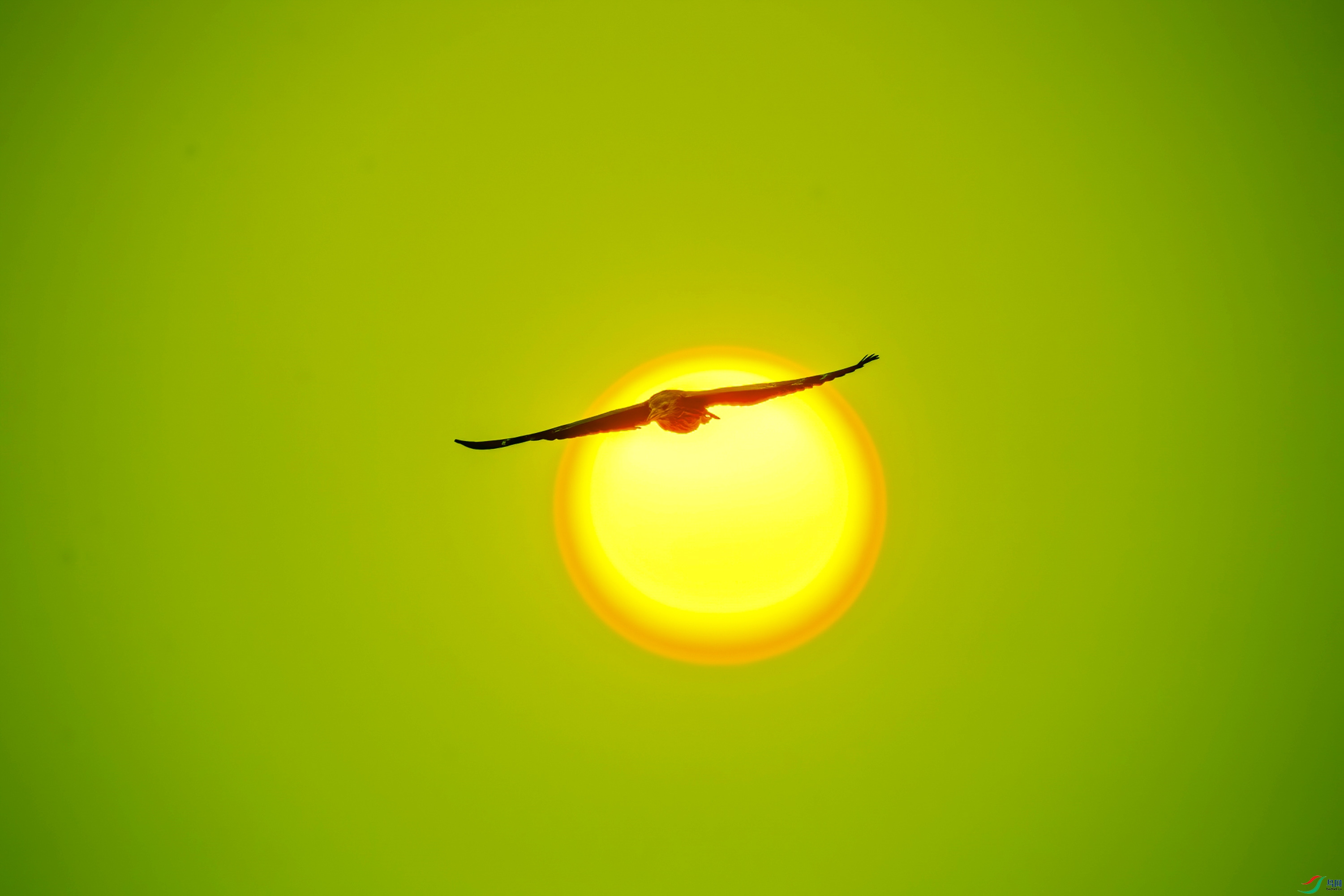 DSC_3633-����_1.jpg