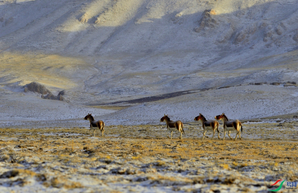 _DSC9047_02.JPG