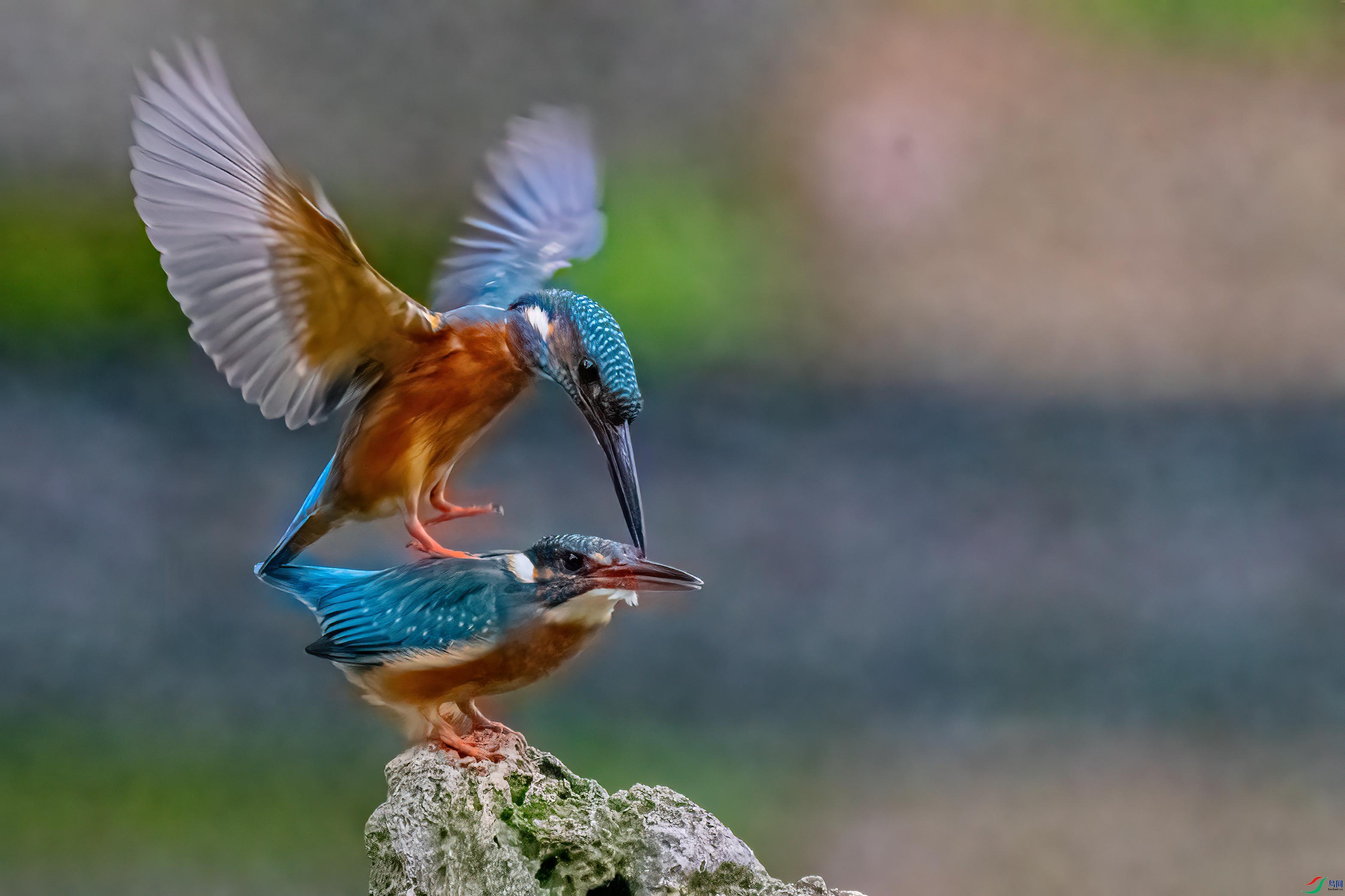 4K3A5450_����.jpg