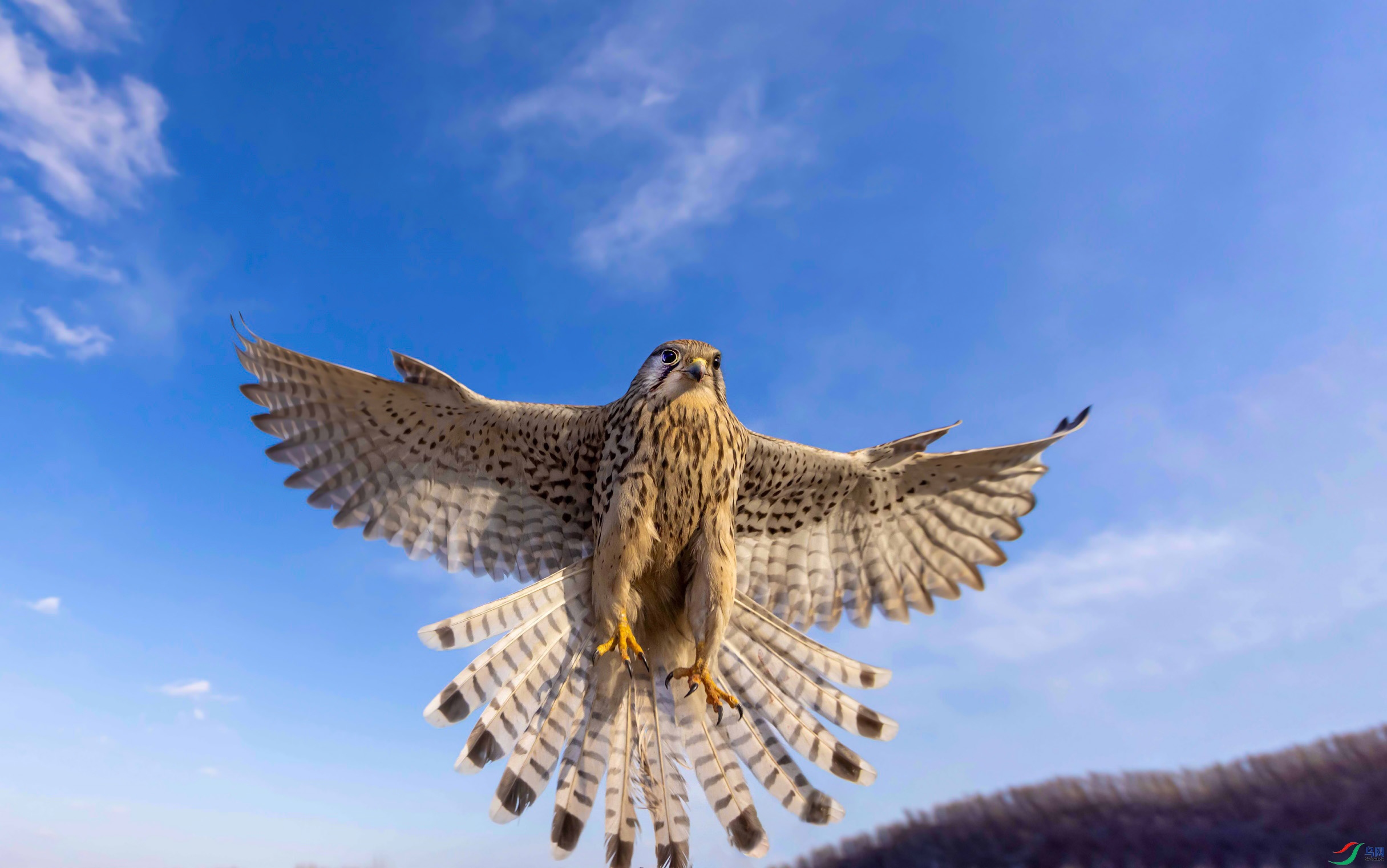 �޴������