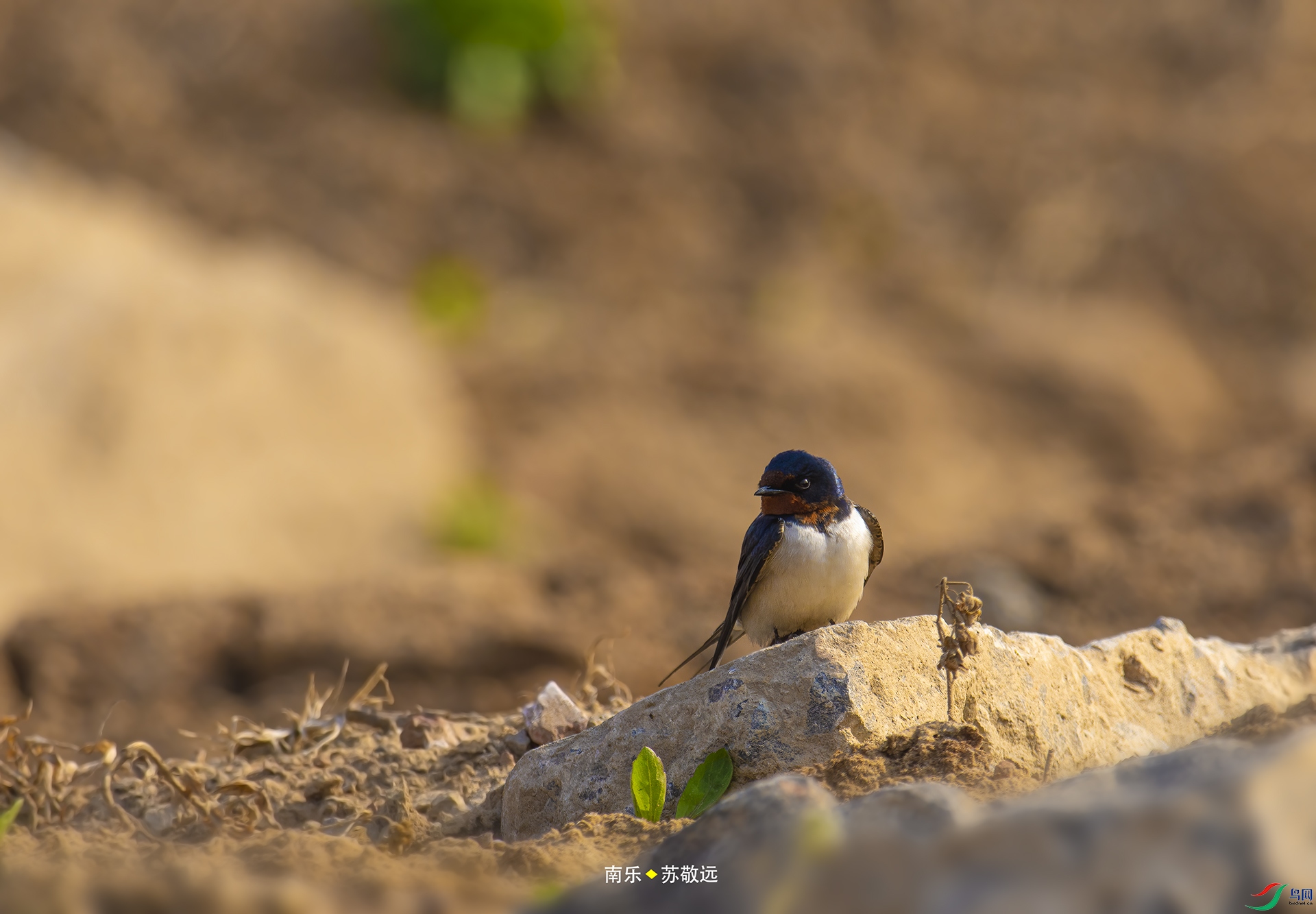 _DSC6082С.jpg
