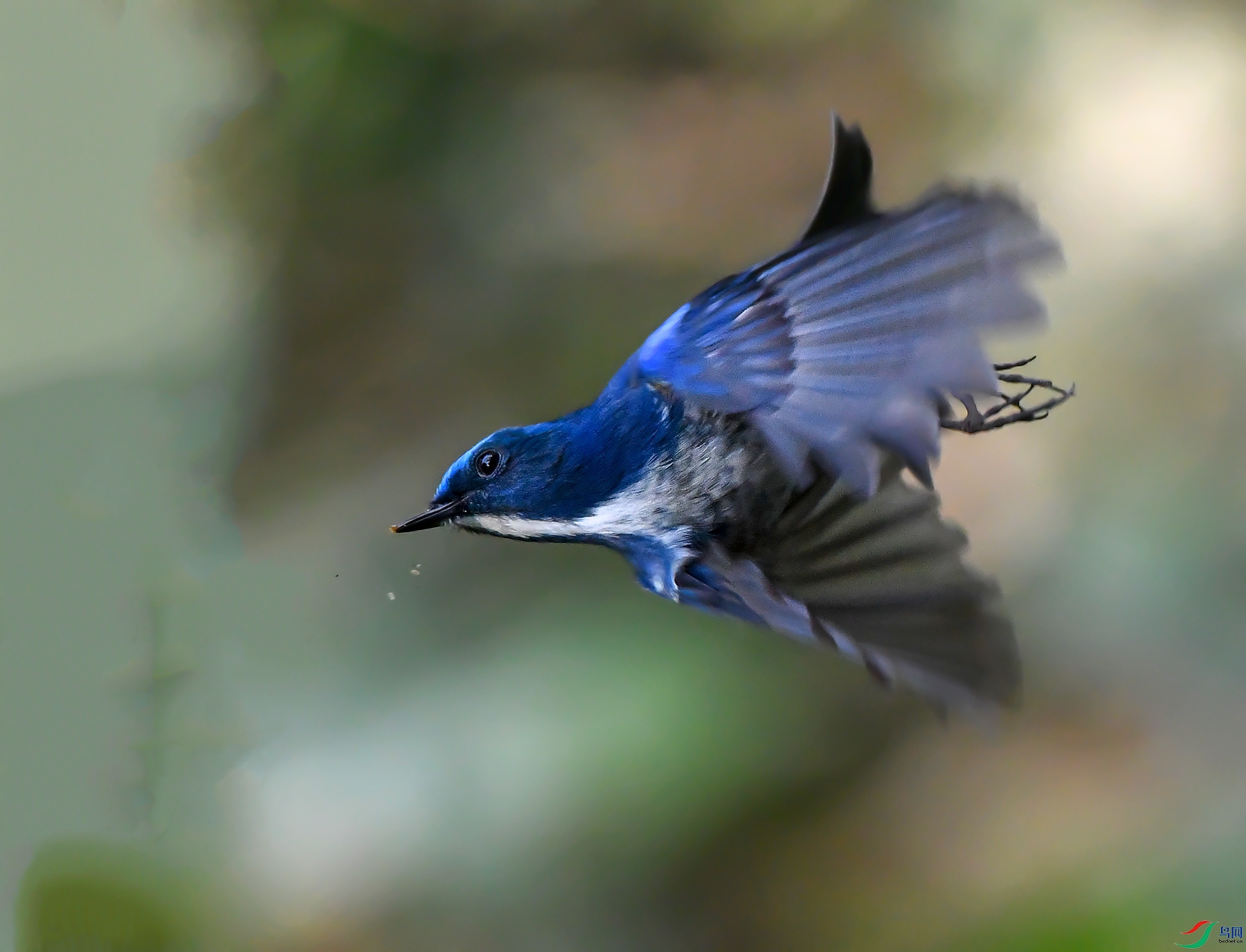 DSC_1660.jpg