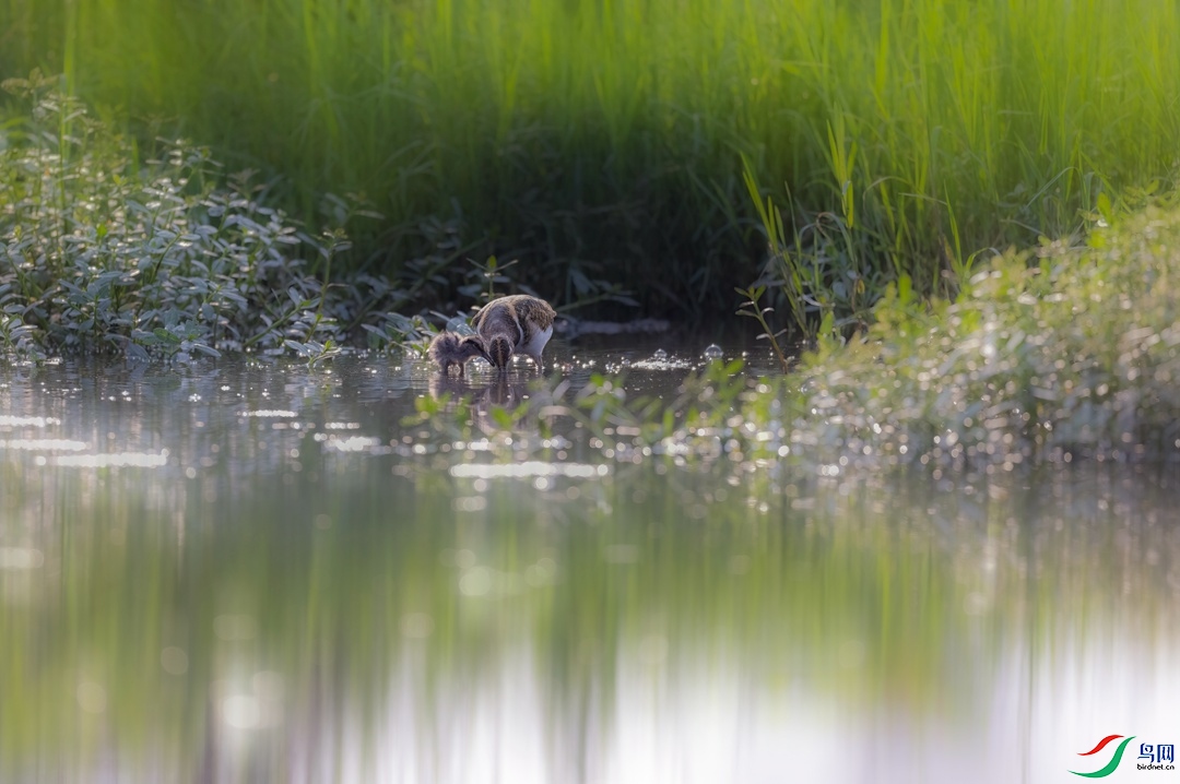 3E1A6906 ����.jpg