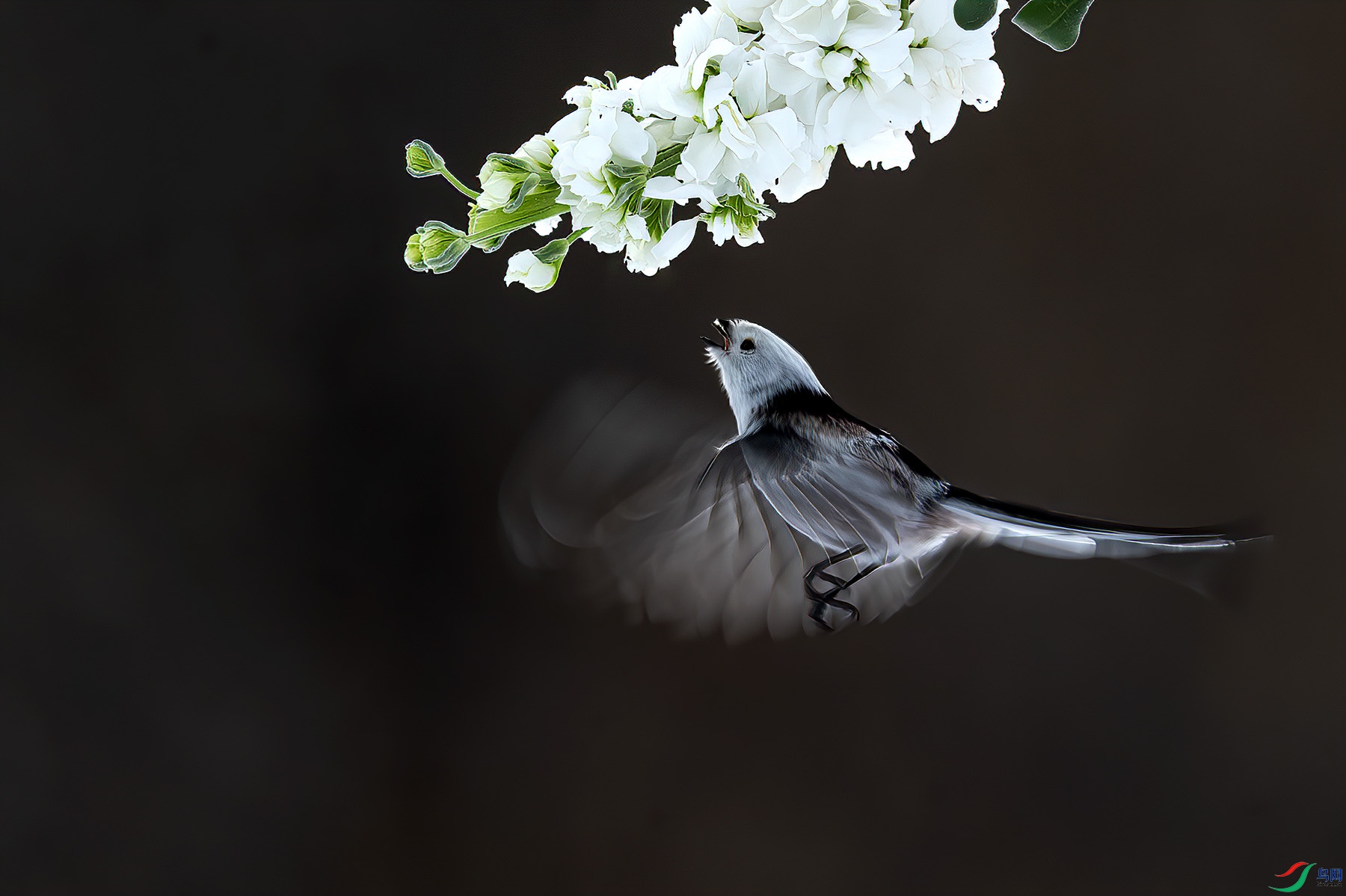 _L103457-1.jpg
