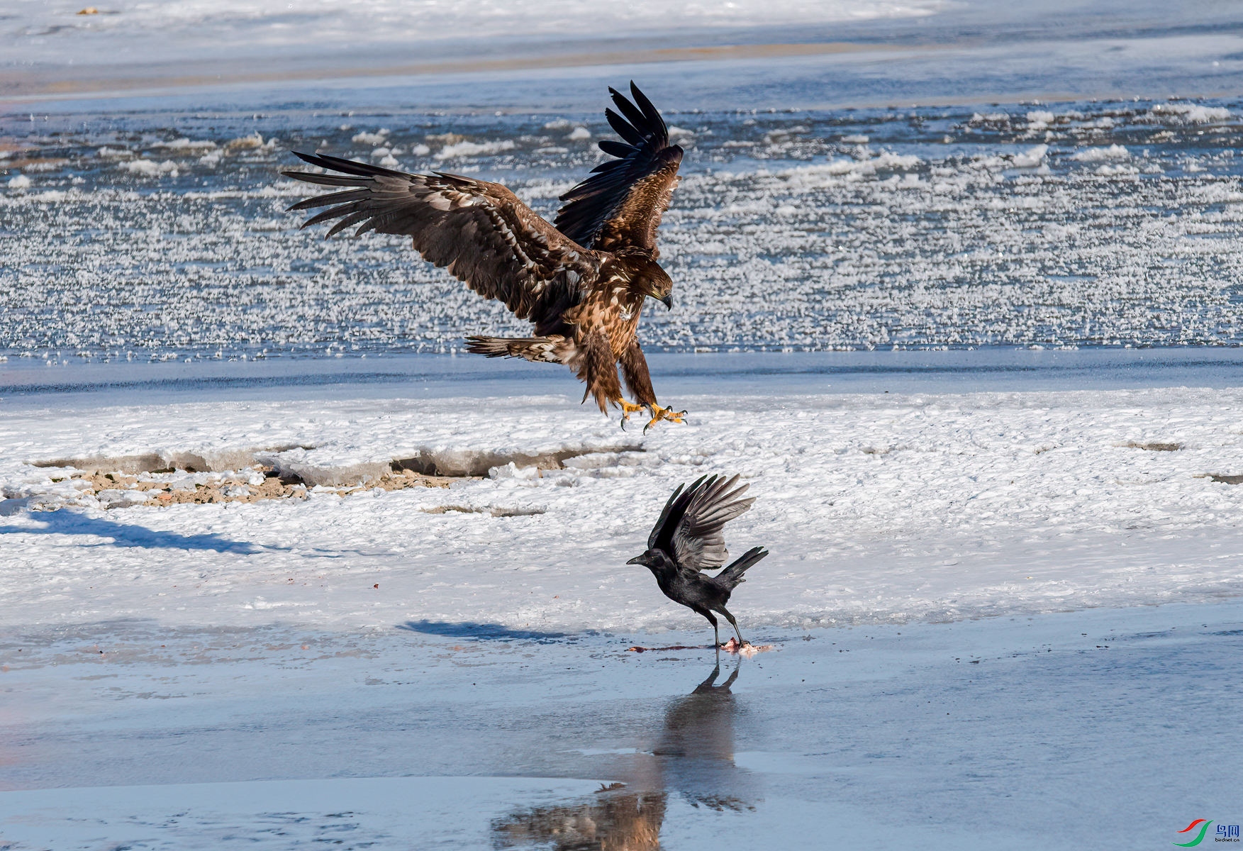 �����ܣ�