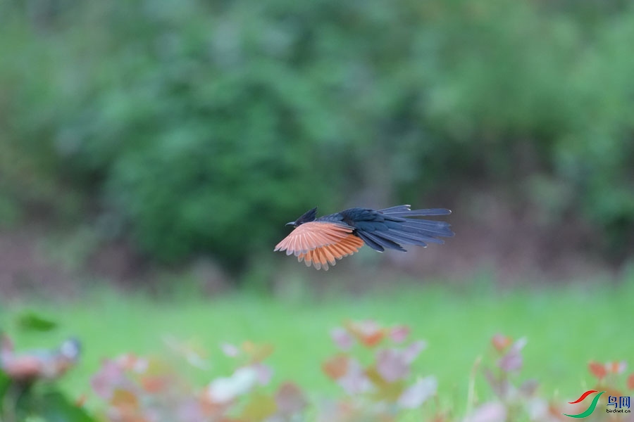 DSC08412_cr-26.jpg