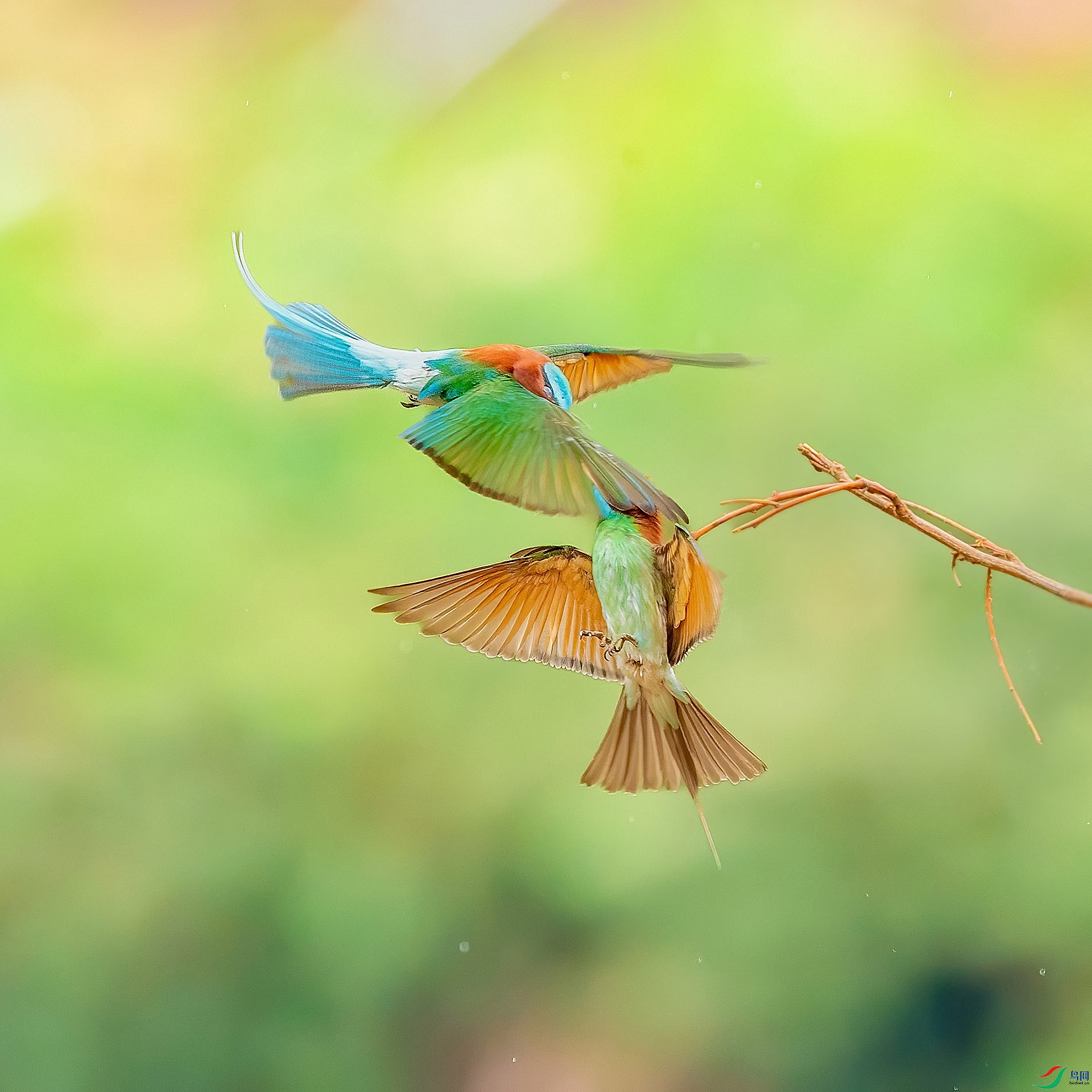 D5W_3156-1.jpg