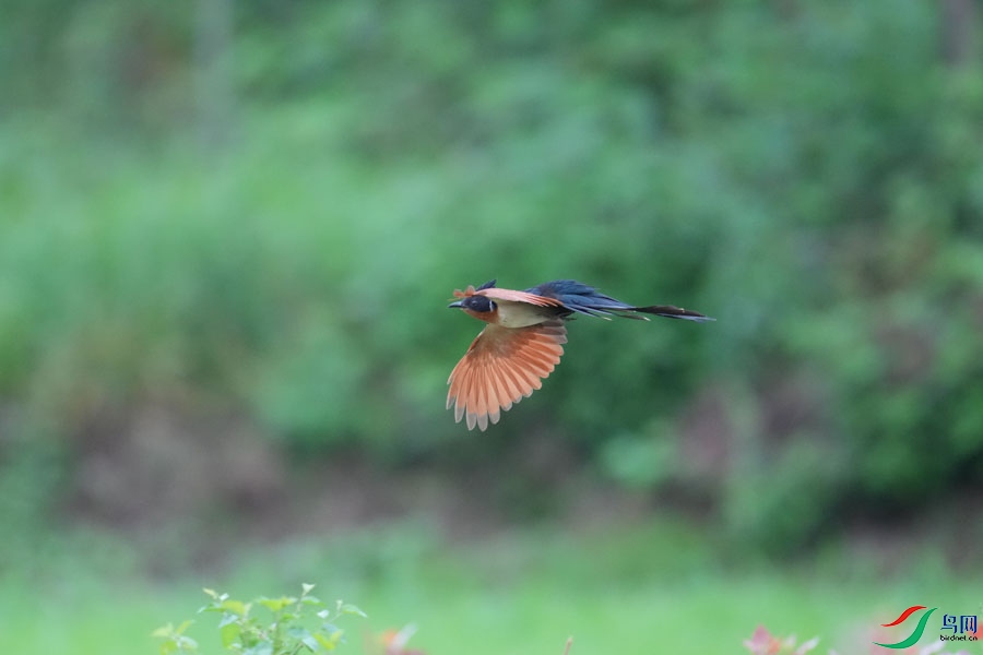DSC08398_cr-12.jpg