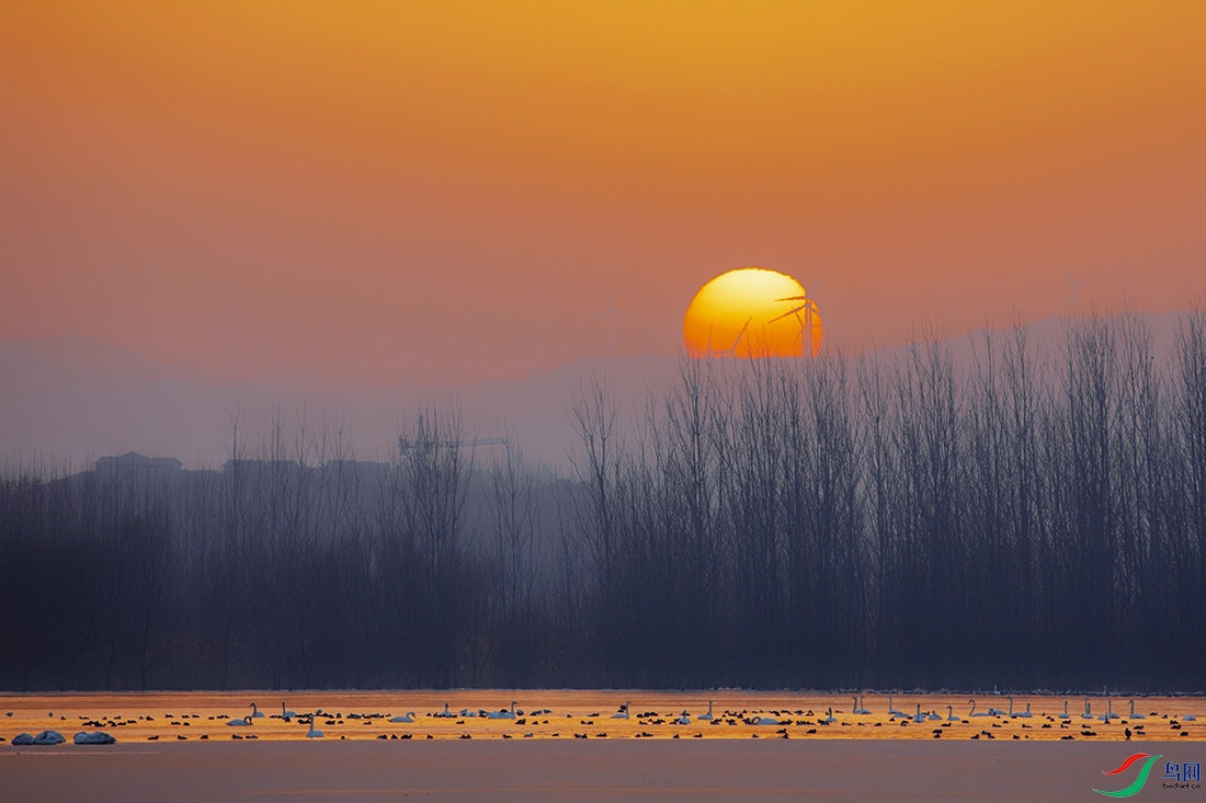 _L7A3790.jpg