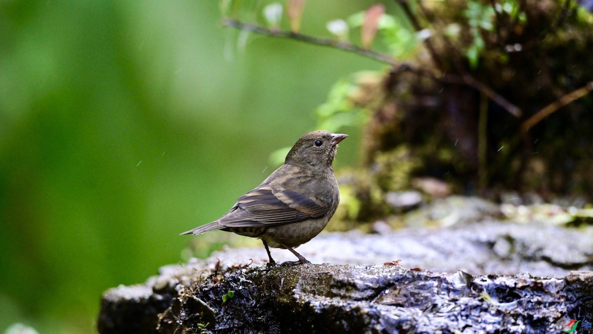 �����  ��ʦ����������ʡ��ɽ���ڳ���.jpeg