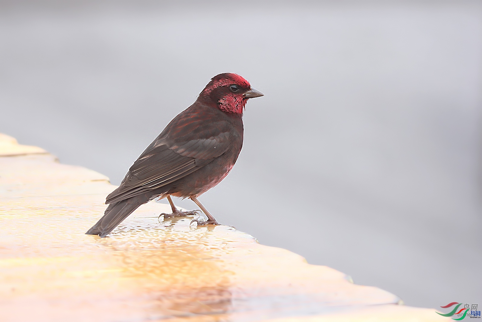 �����ҷ�  ��ʦ����������ʡ�������������ݴ�����.jpg