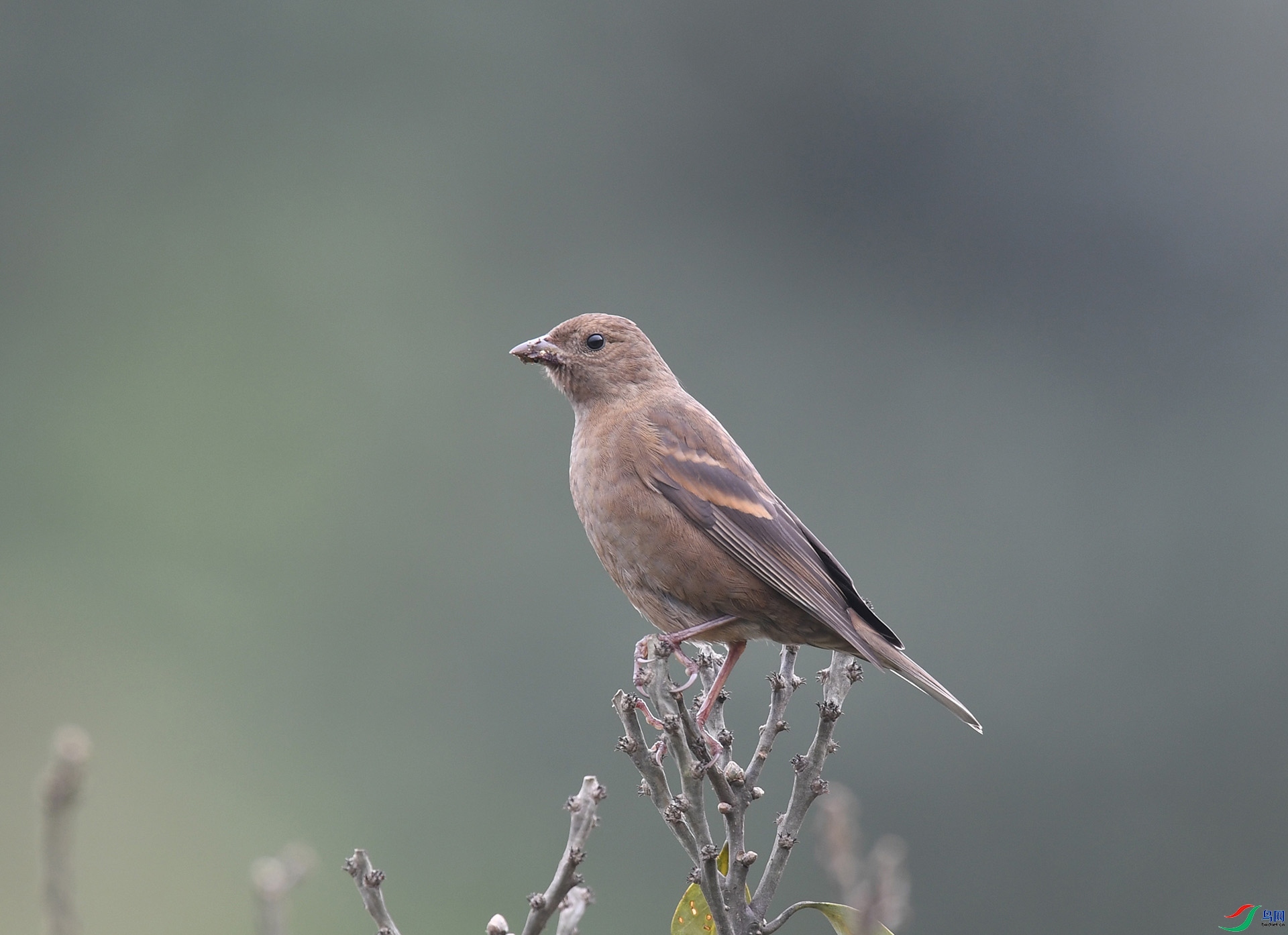 ����ϸ��  ��ʦ����������ʡ�������������ݴ�����.jpg