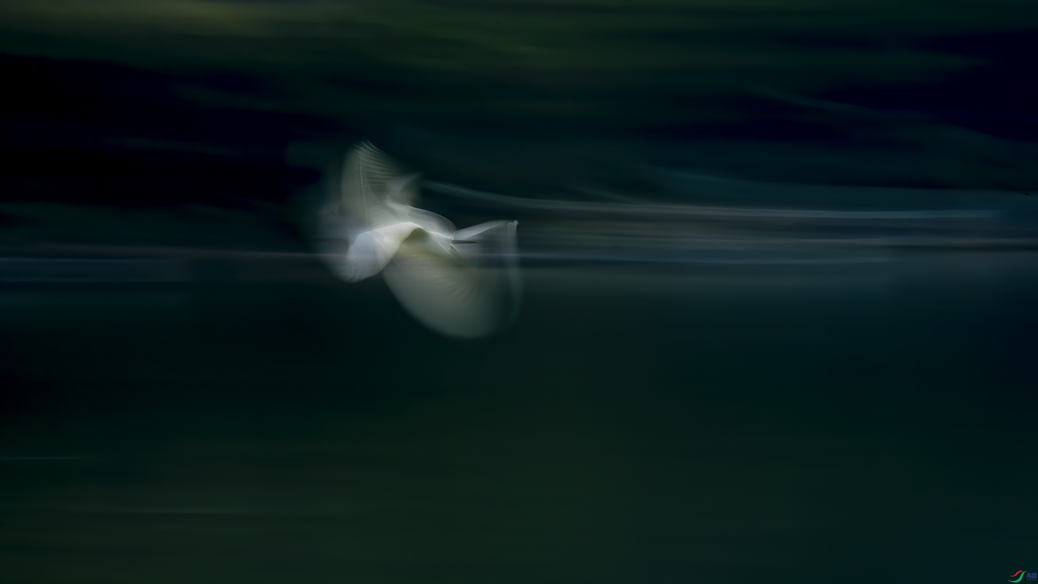 DSC_5062.jpg