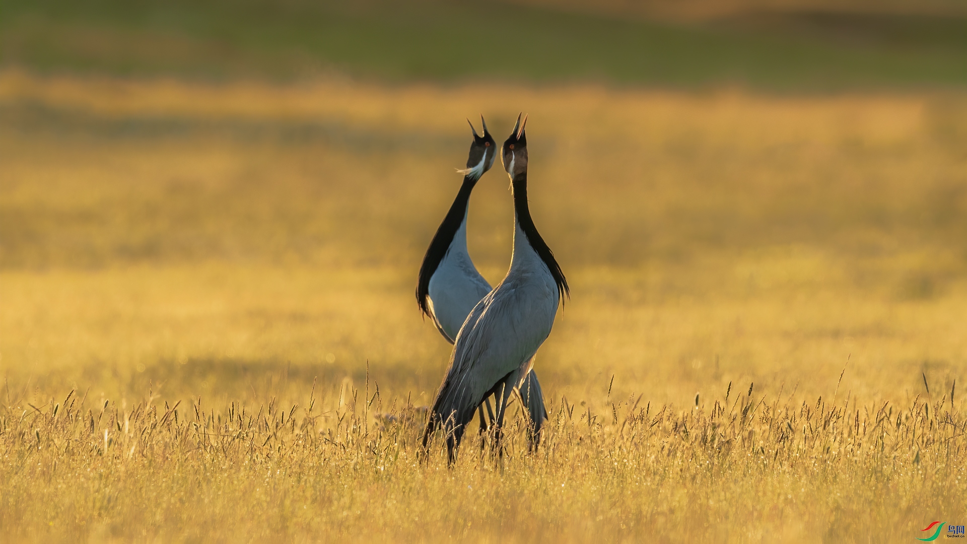 _DSC0813-.jpg