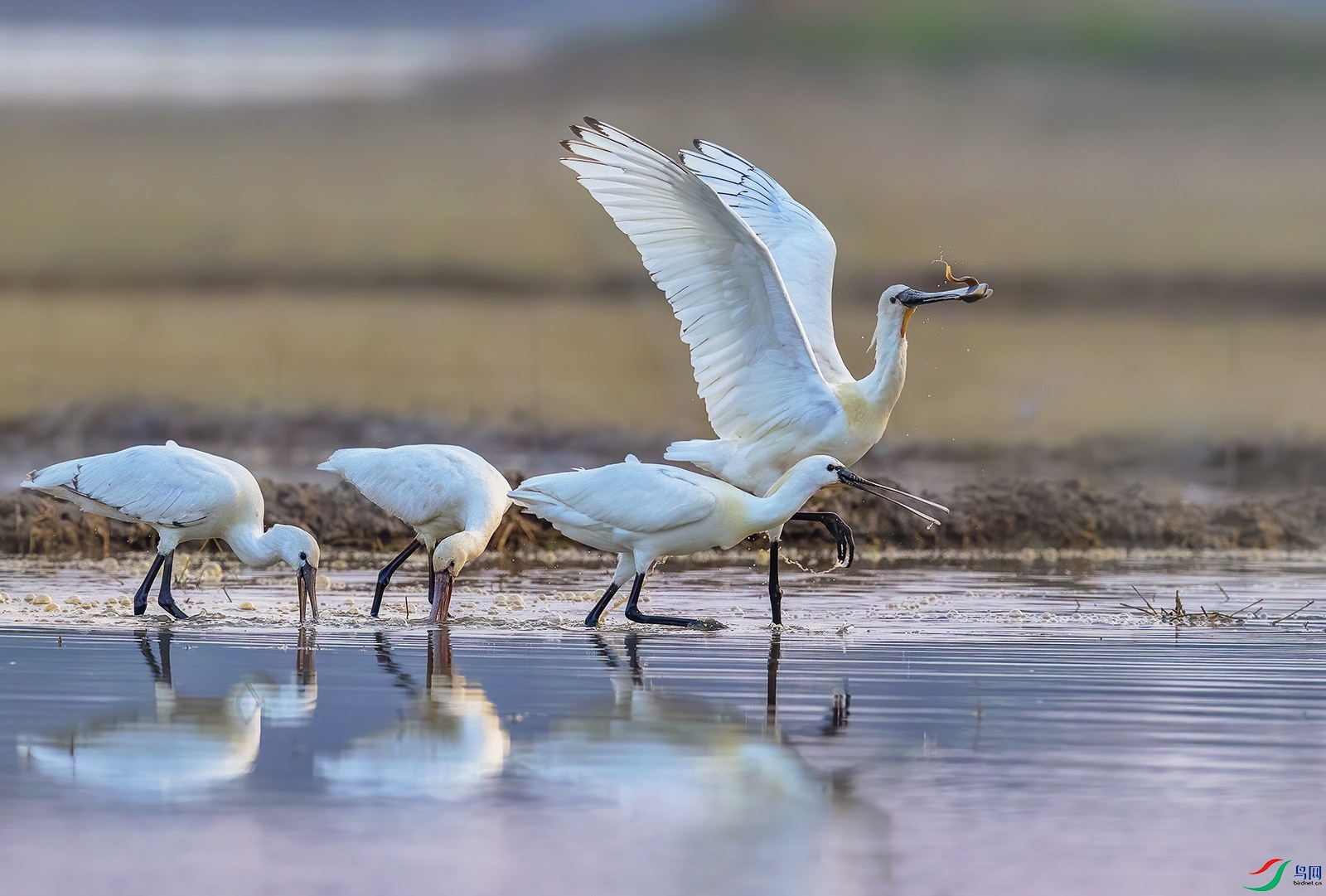 AI8I4475 ���� 2.jpg