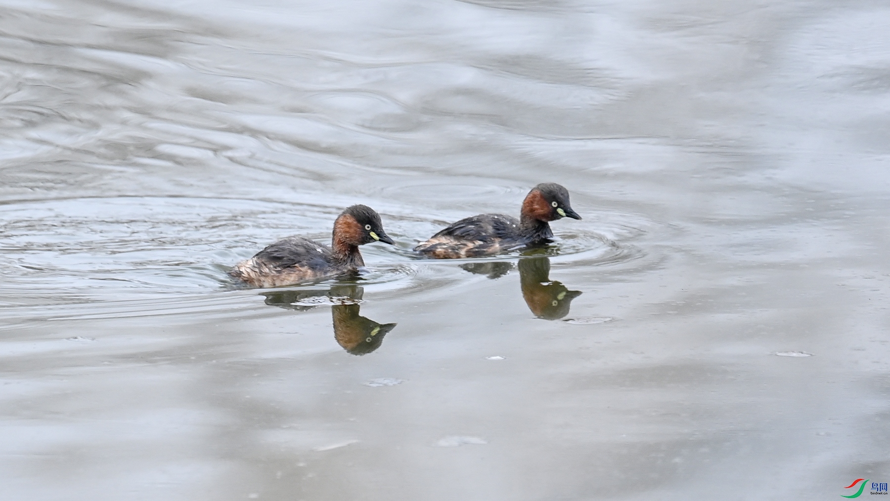 DSC_0375.jpg
