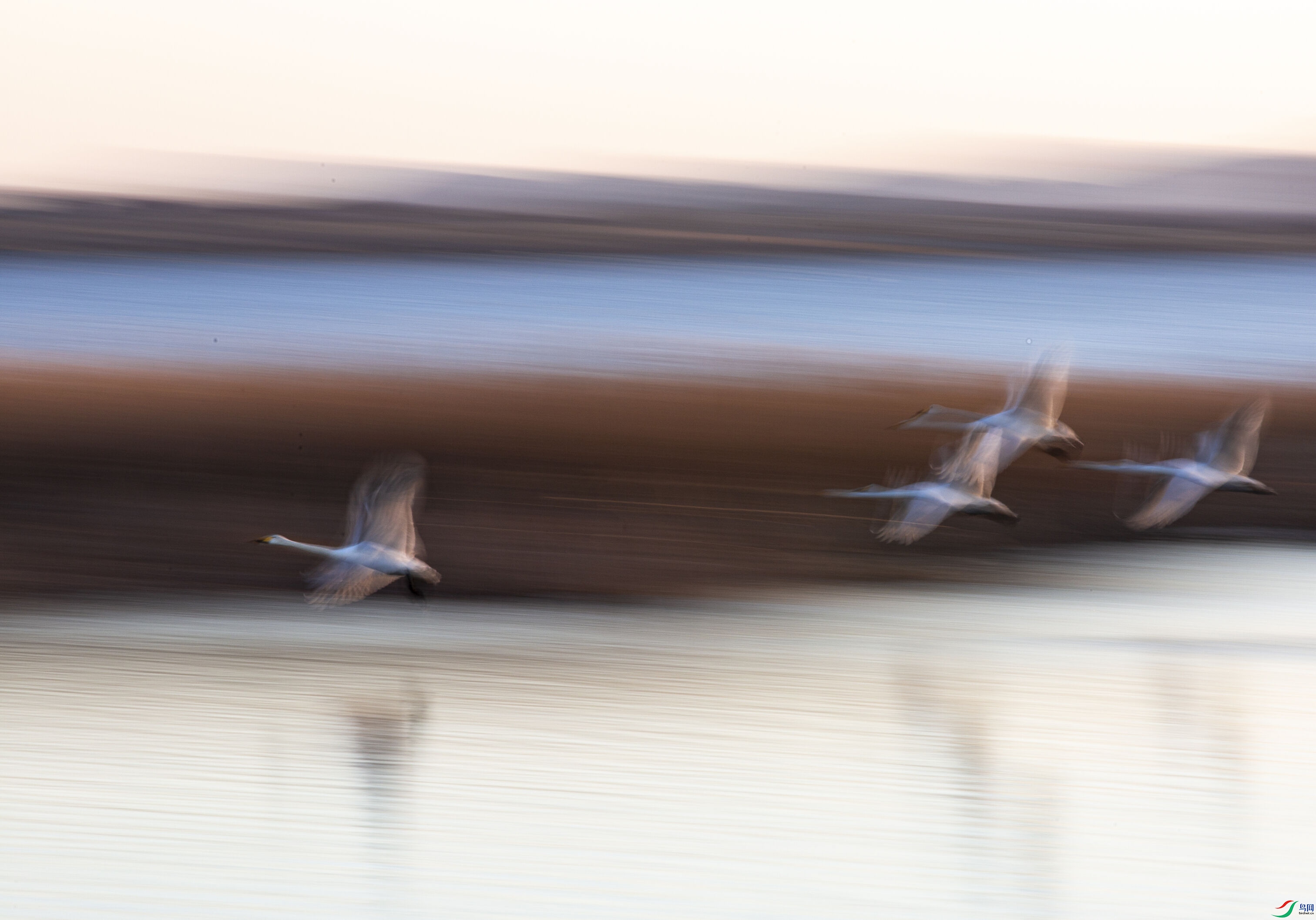 CA9A7279.jpg
