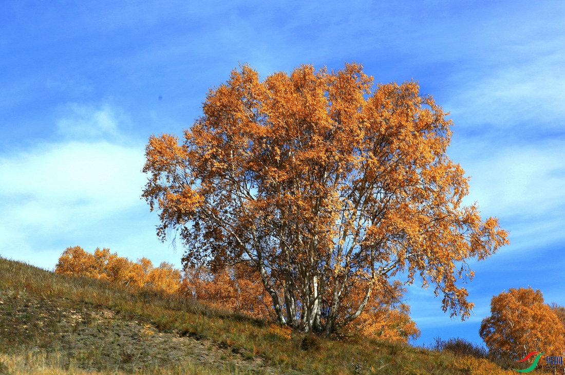 A8.jpg