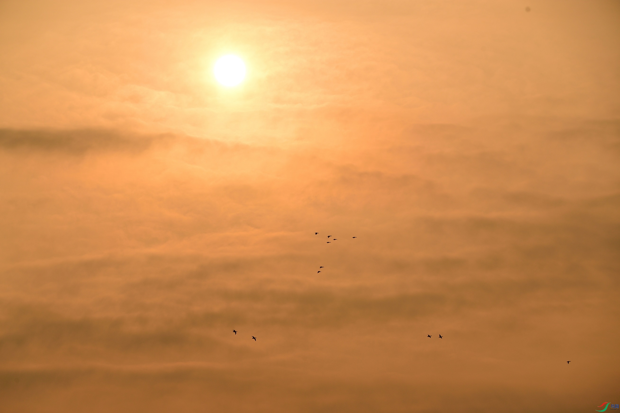 21N_5289_00001.jpg