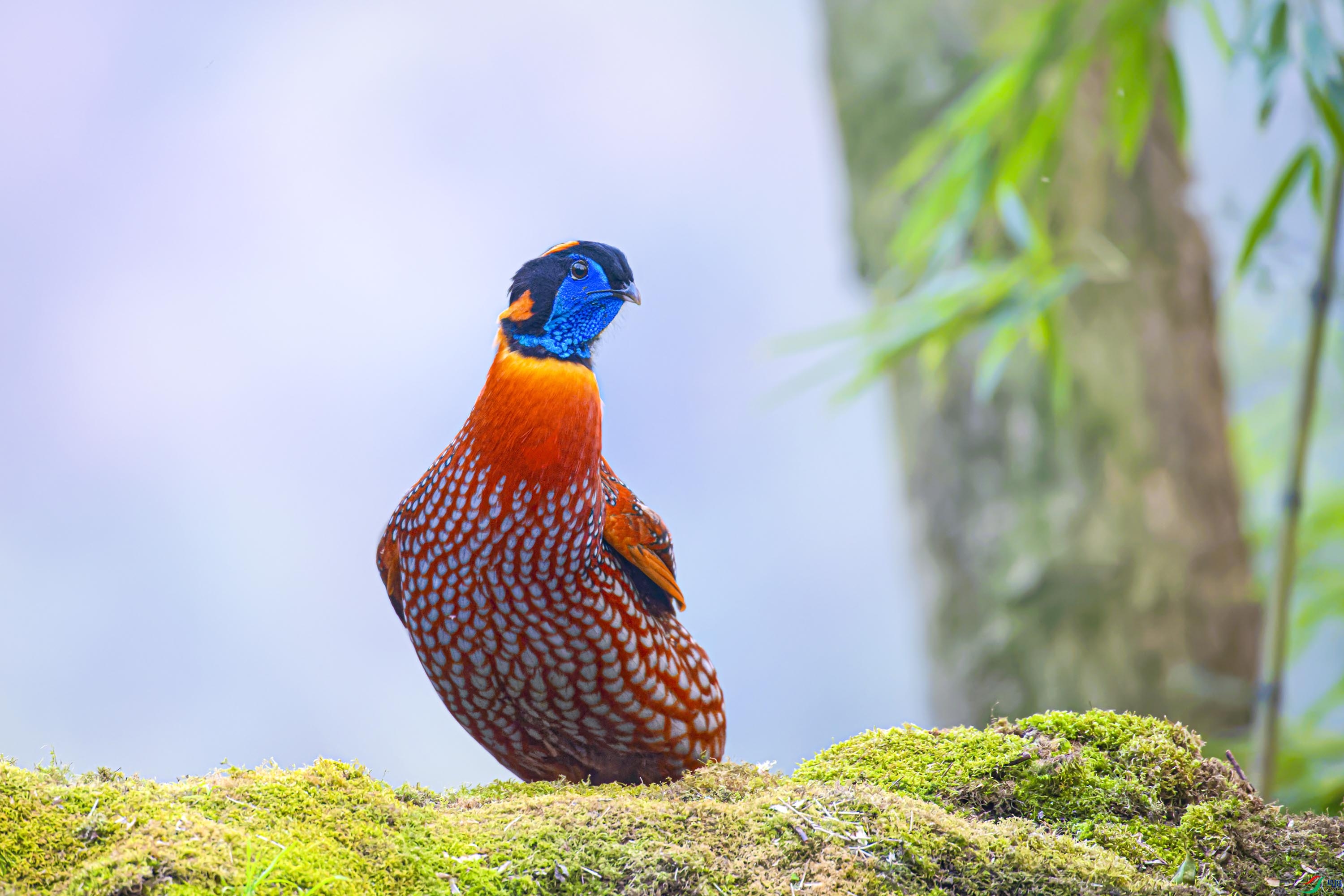 _DSC4593_DxO.jpg