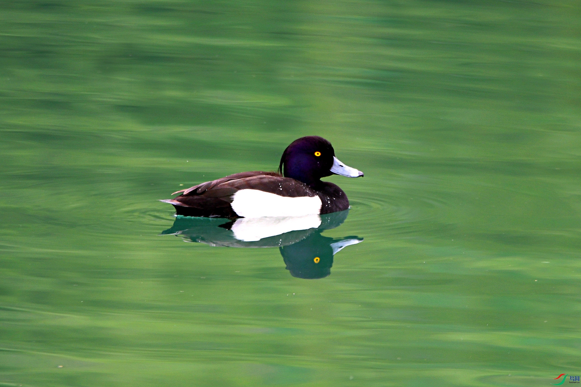 DSC_2571.jpg