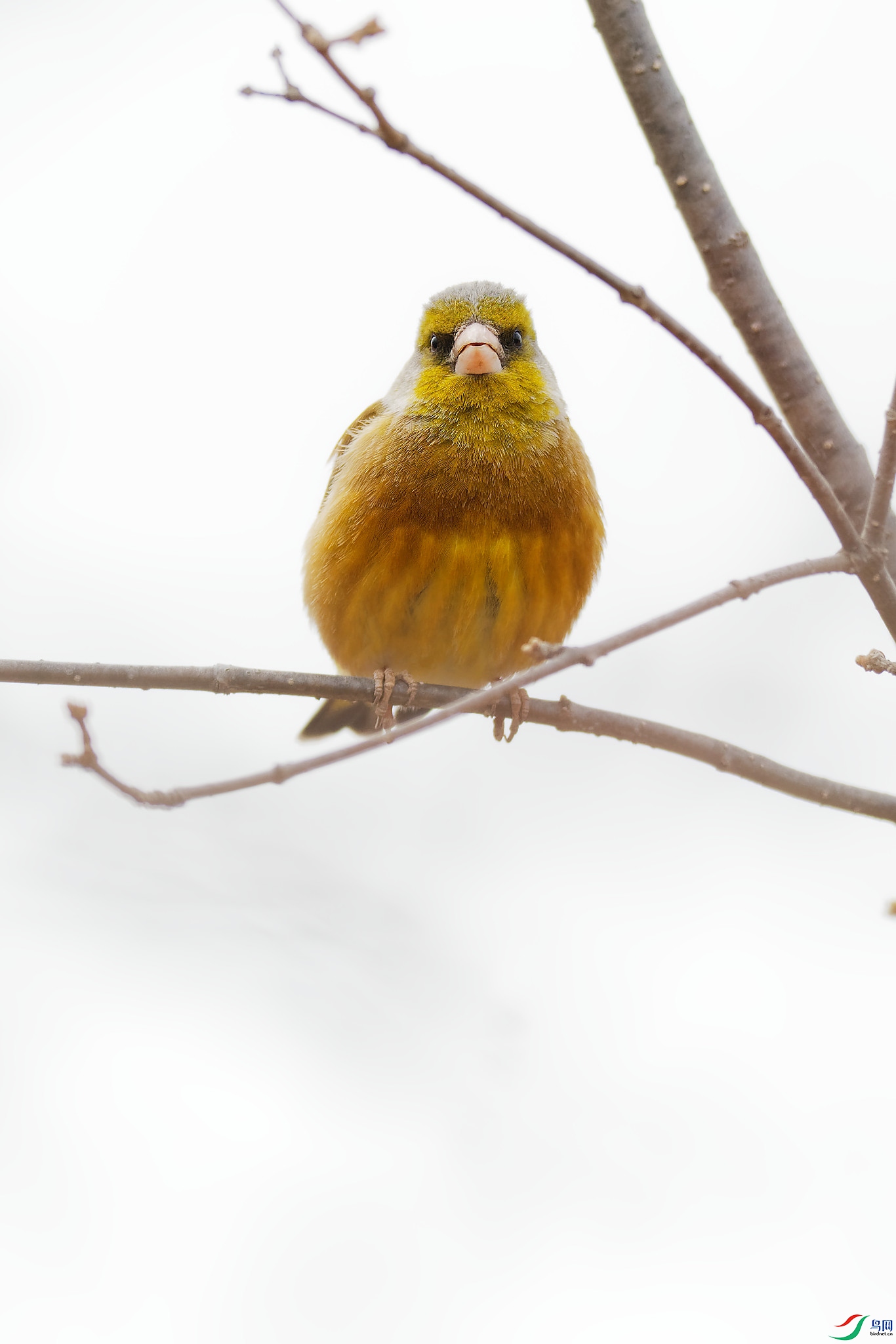 DSC_5881.jpg