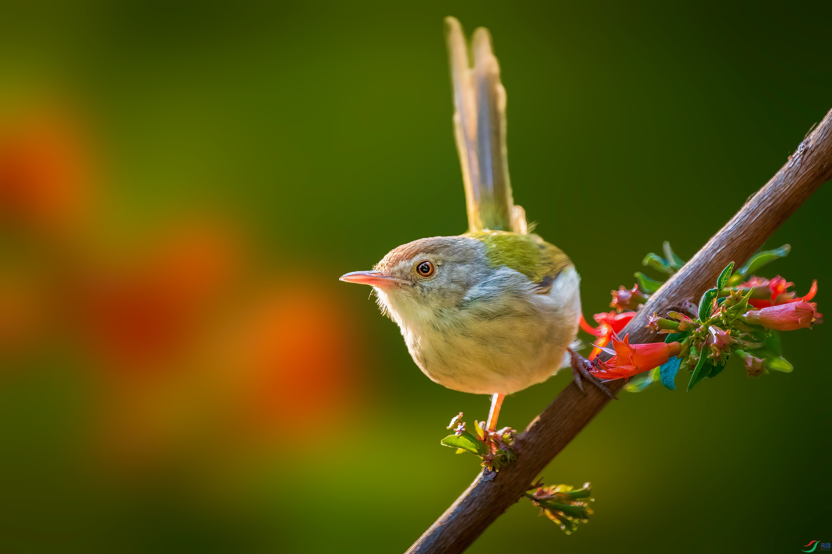 DSC_9224-B.jpg