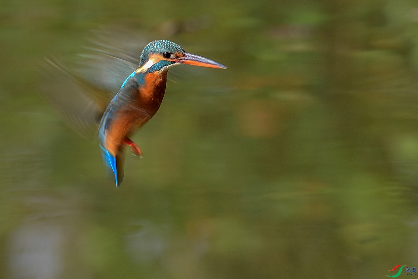 DSC_4776-2.jpg