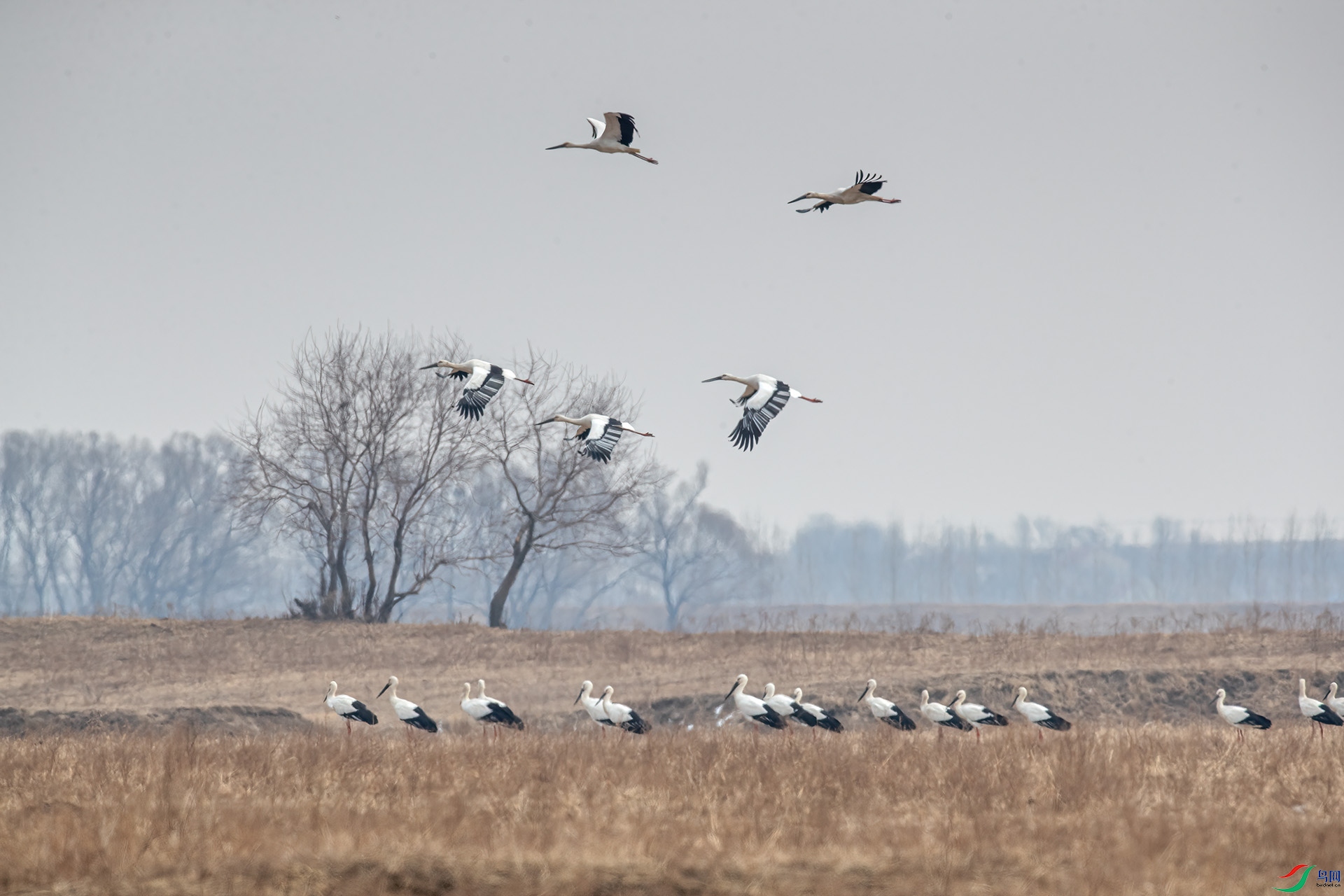 1DX_7488 ���� 2.jpg