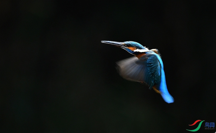 DSC_4736.JPG