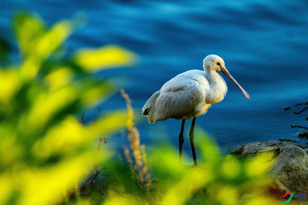 �ɻش���Ȼ (1).jpg