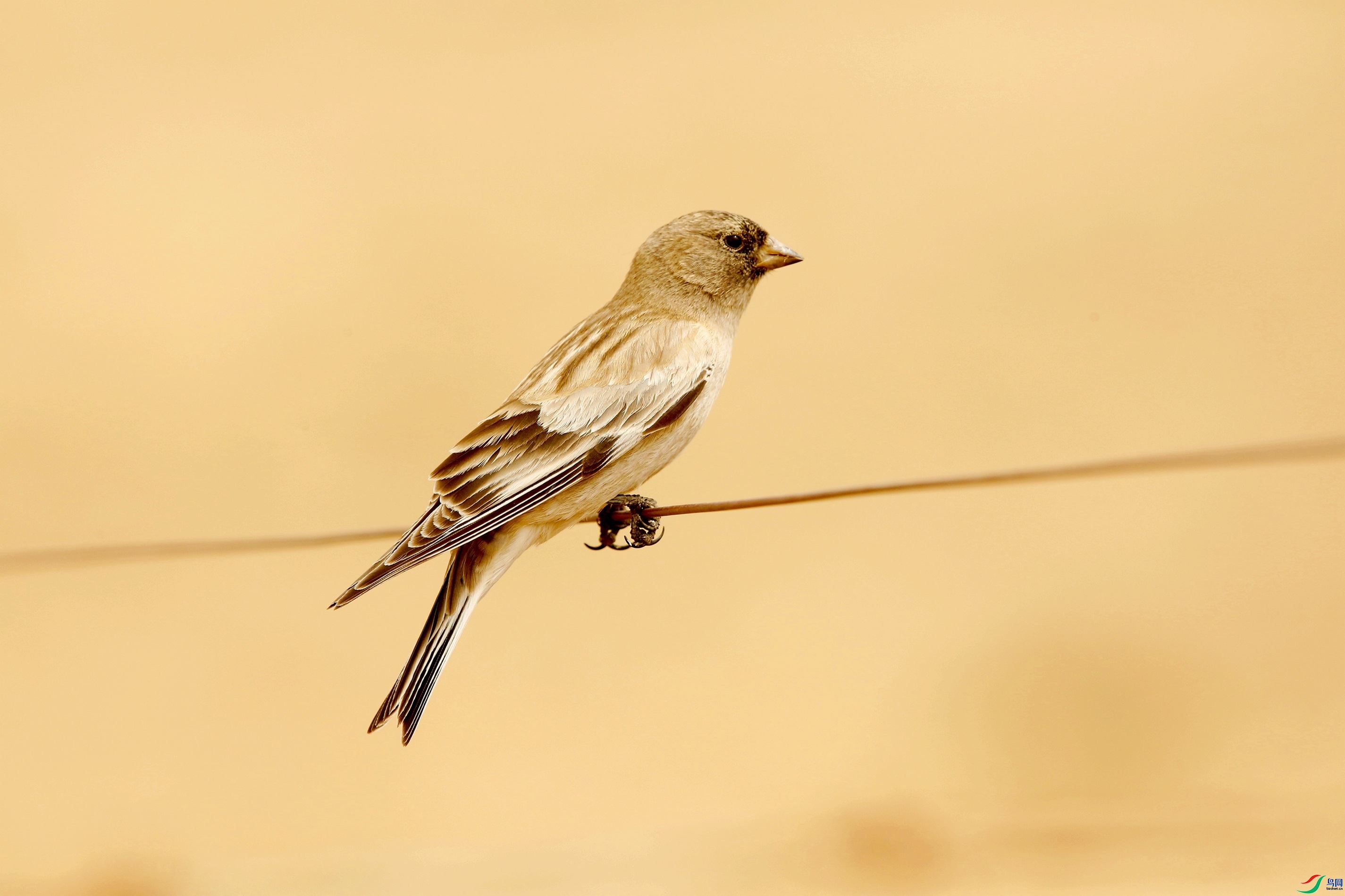 �����ϼ�  ��ʦ�������ຣʡ���ϲ��������ݺ����ɹ���������.jpg