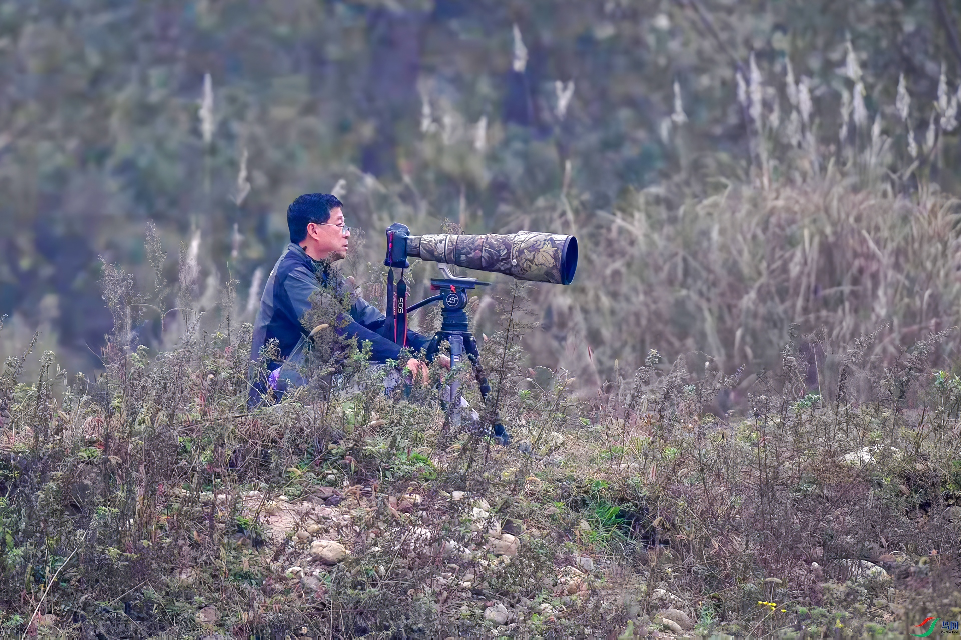 2020_12_17_20_12_IMG_4477-gigapixel.jpg