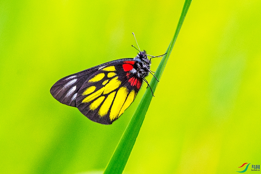 ��LPY_4576.jpg