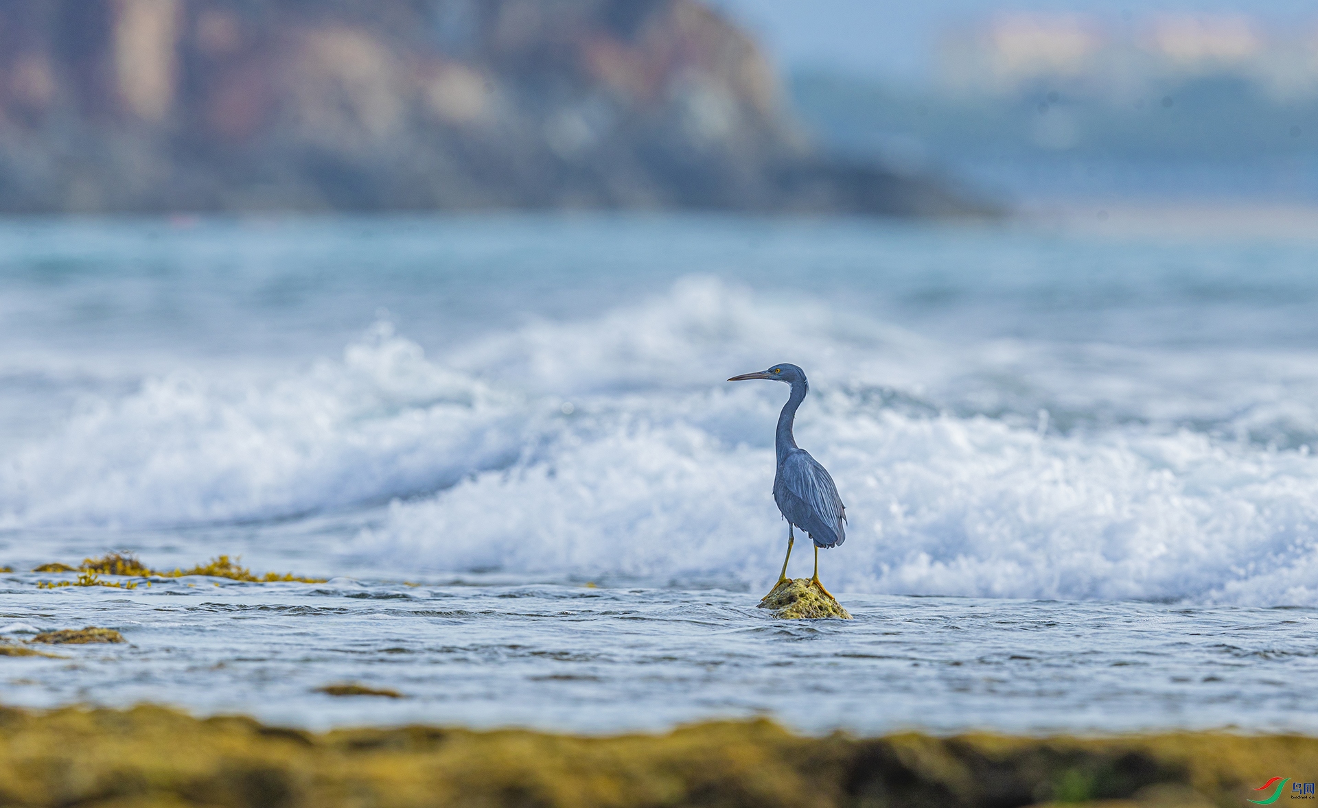 AE8I4309 ����-1 ����.jpg