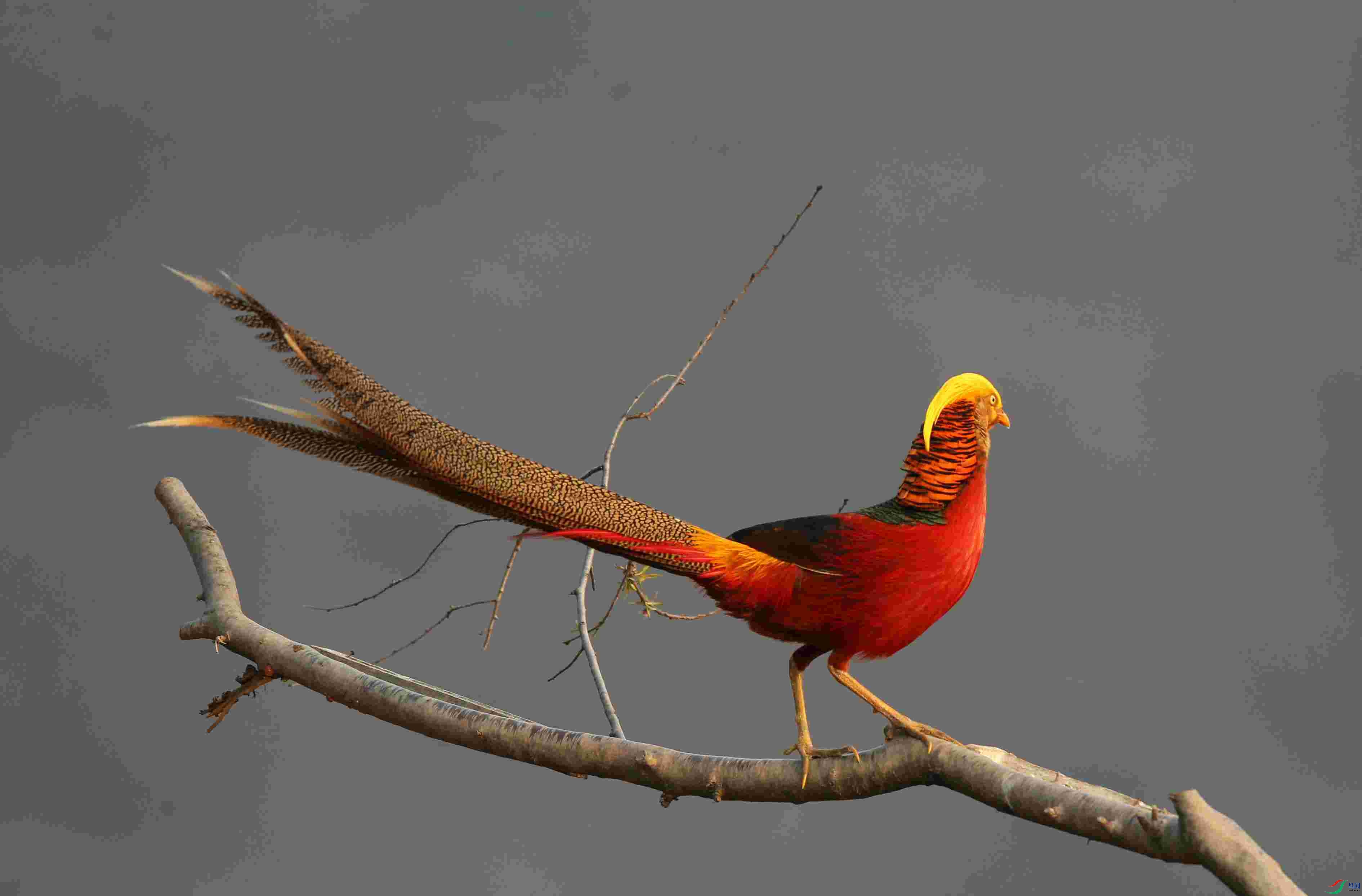 H46R5532_����.jpg
