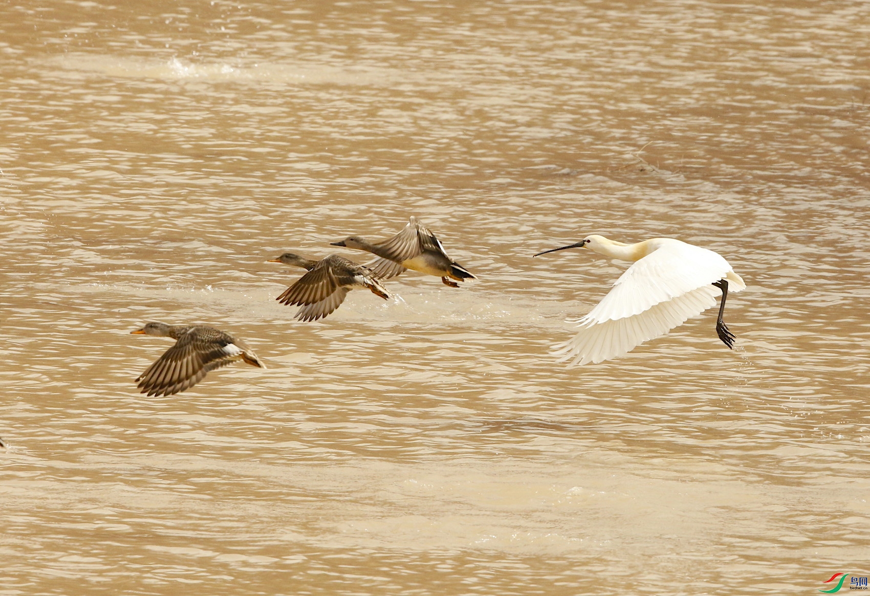 ������ 01.JPG