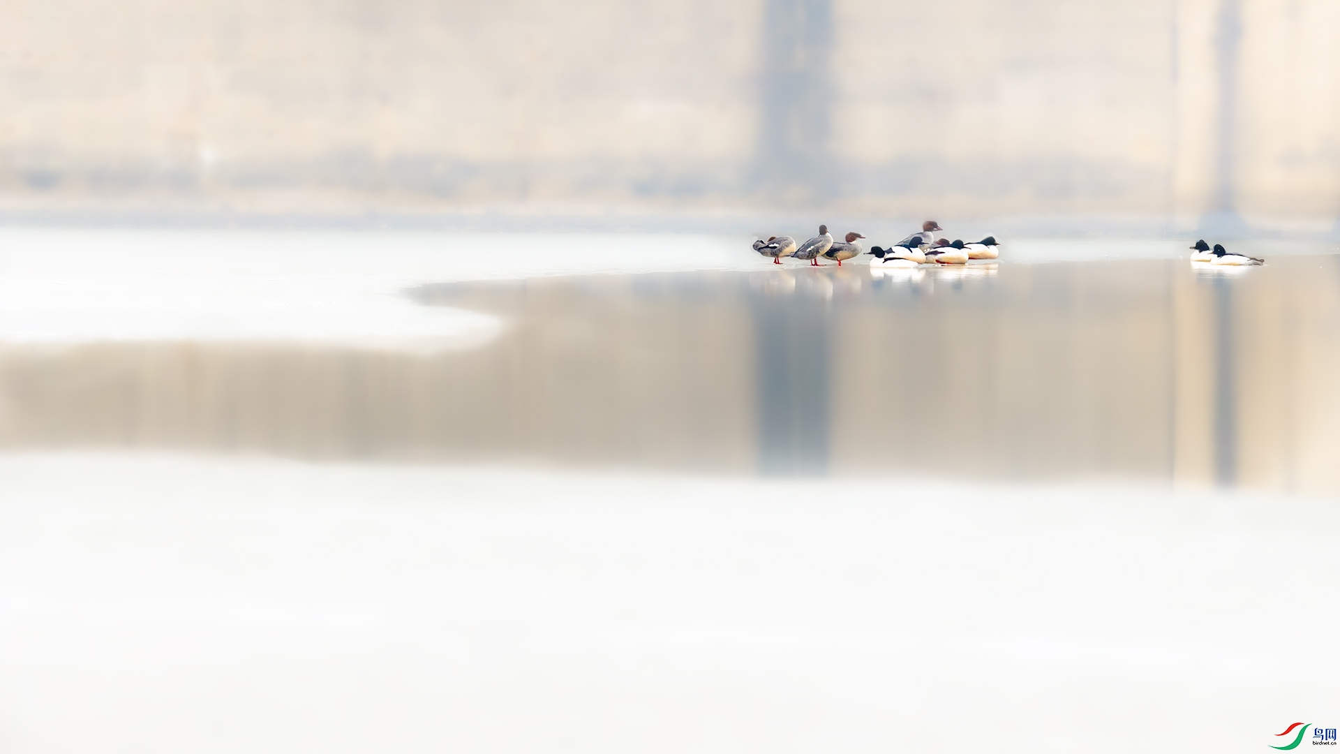 _B8I6556-1.jpg