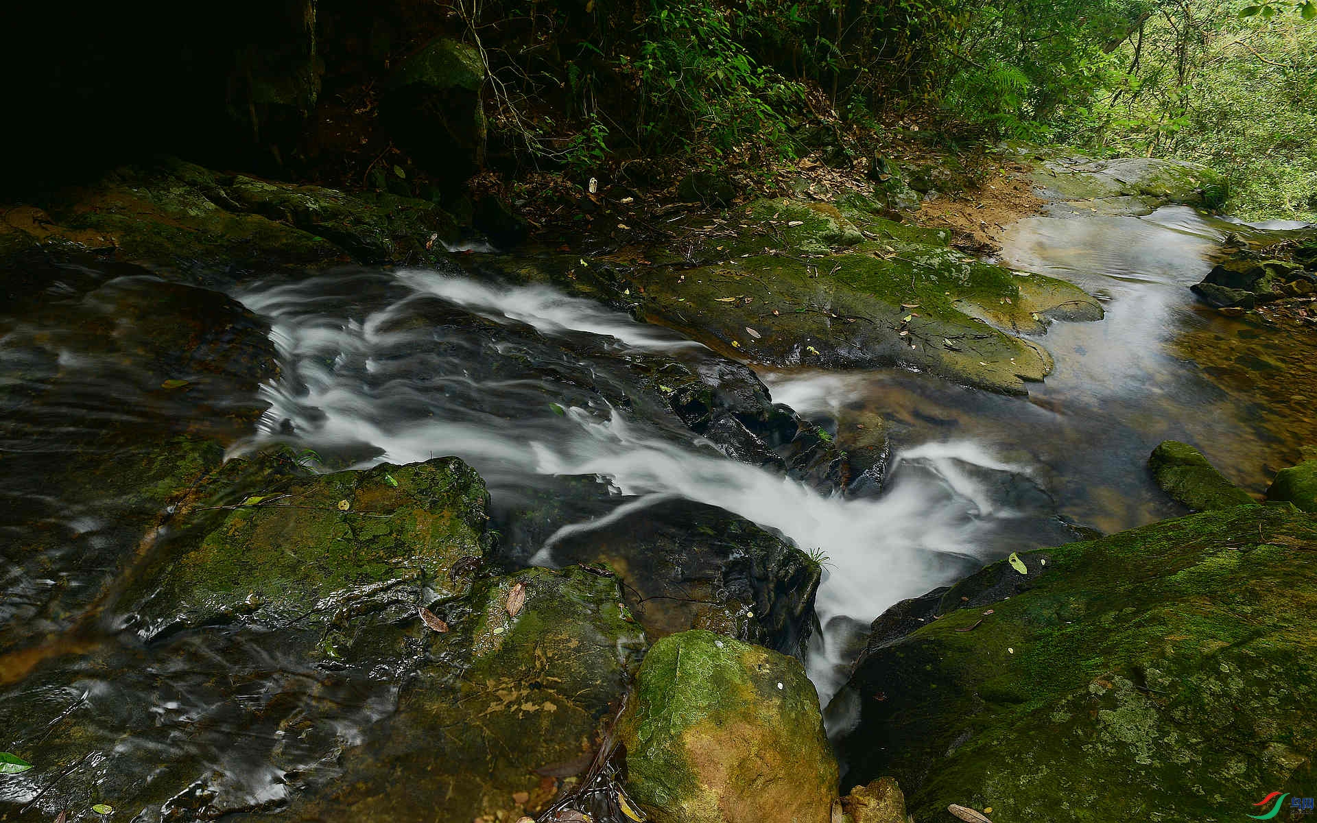 D8I_0411.jpg