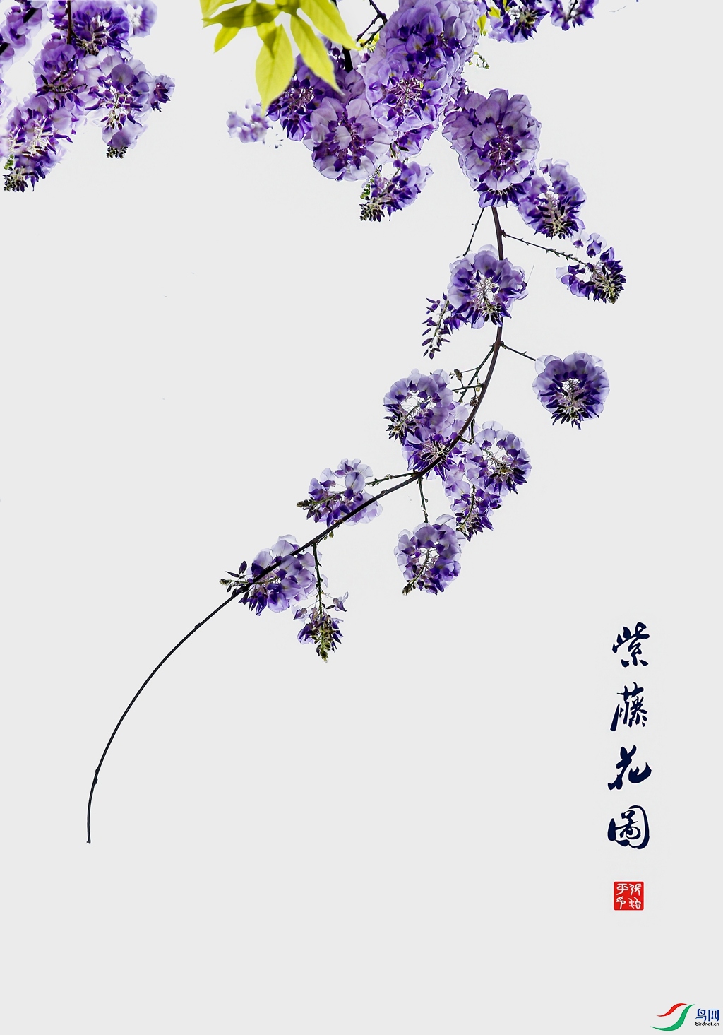 DSC_5920 =_����.jpg